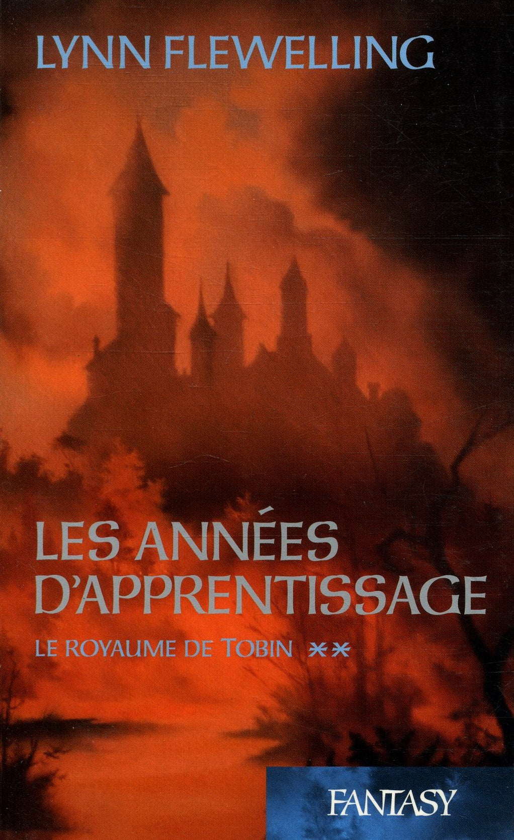 Les années d'apprentissage, Le royaume de Tobin T2 / Flewelling, Lynn / Réf15838