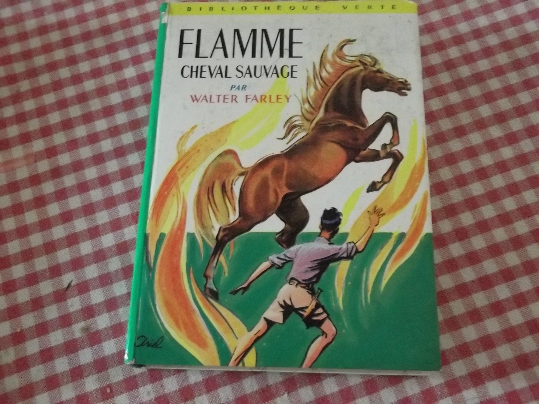 Flamme cheval sauvage 9782010019036