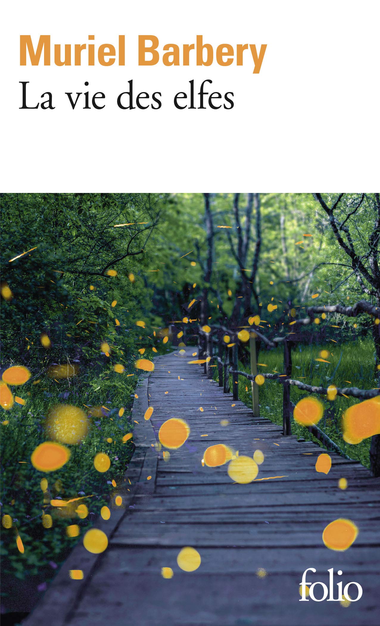 La vie des elfes 9782072714238