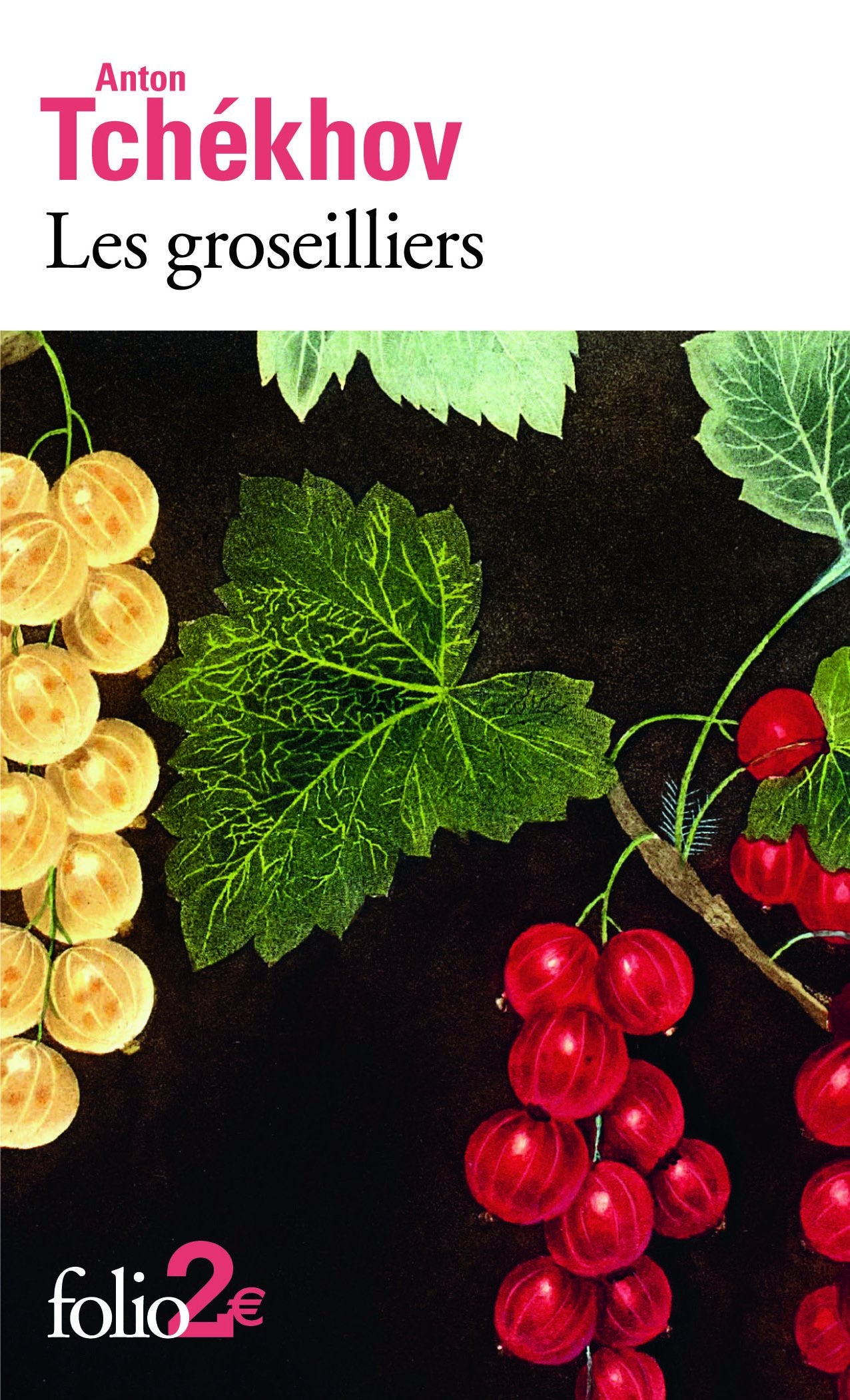 Les groseilliers et autres nouvelles: et autres nouvelles 9782070466948