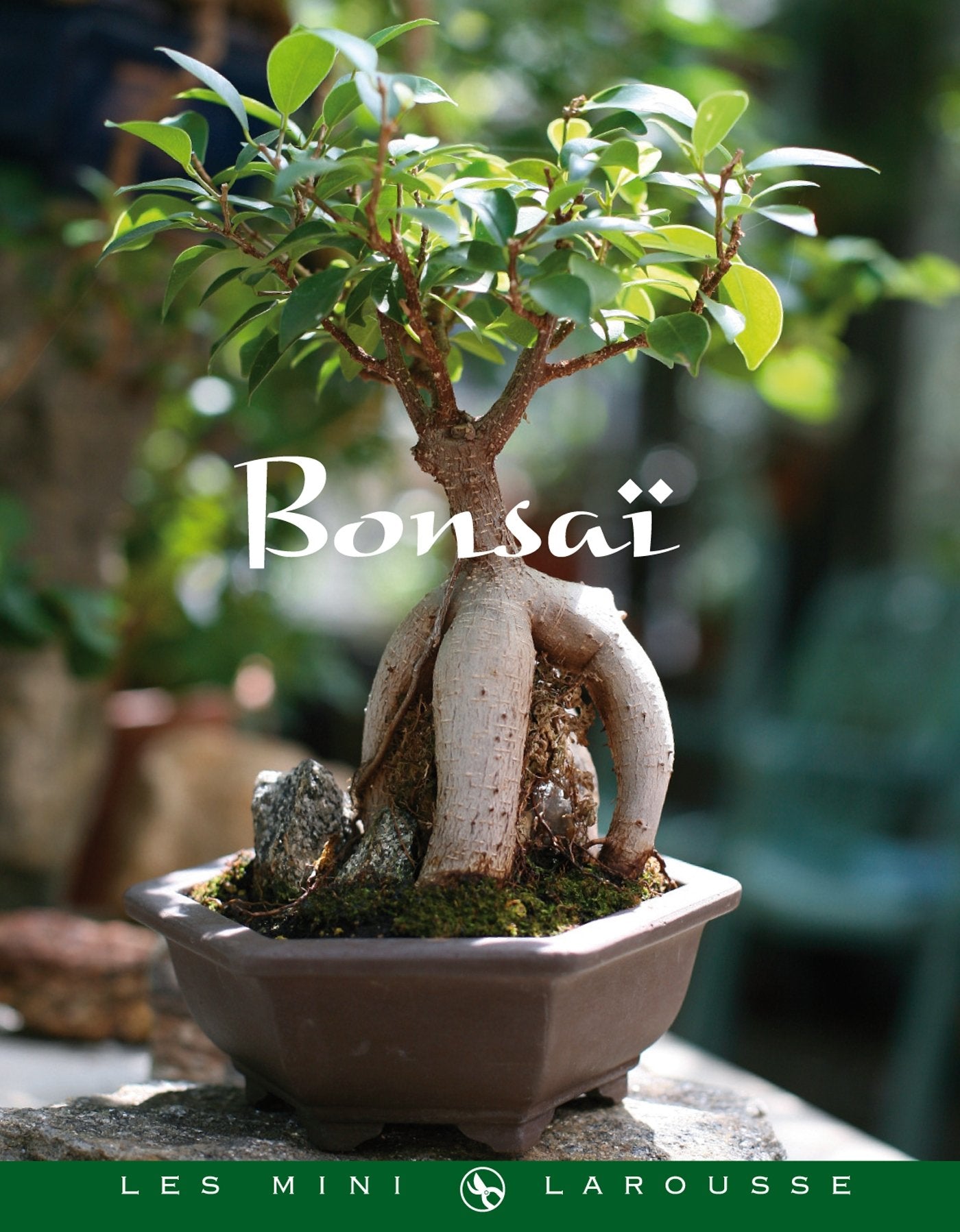 Bonsaï 9782035857156