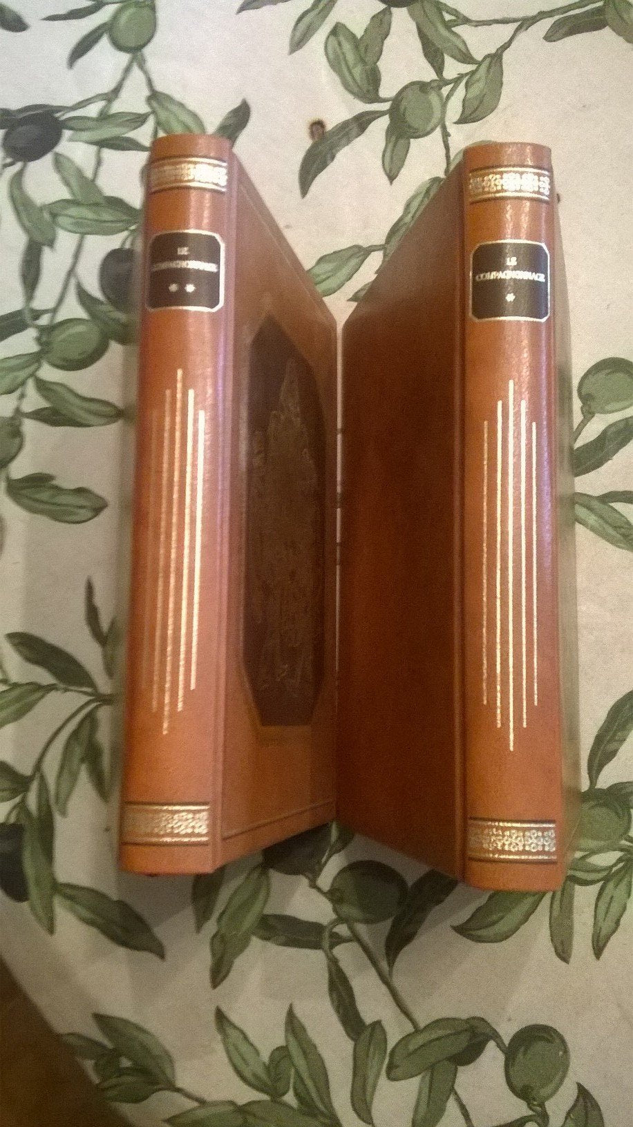 Histoire Du Compagnonnage - Tomes 1 Et 2 Complets