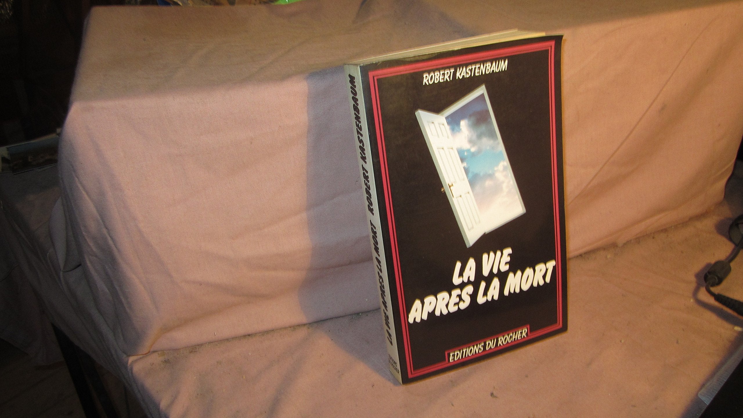 La vie après la mort 9782268010557