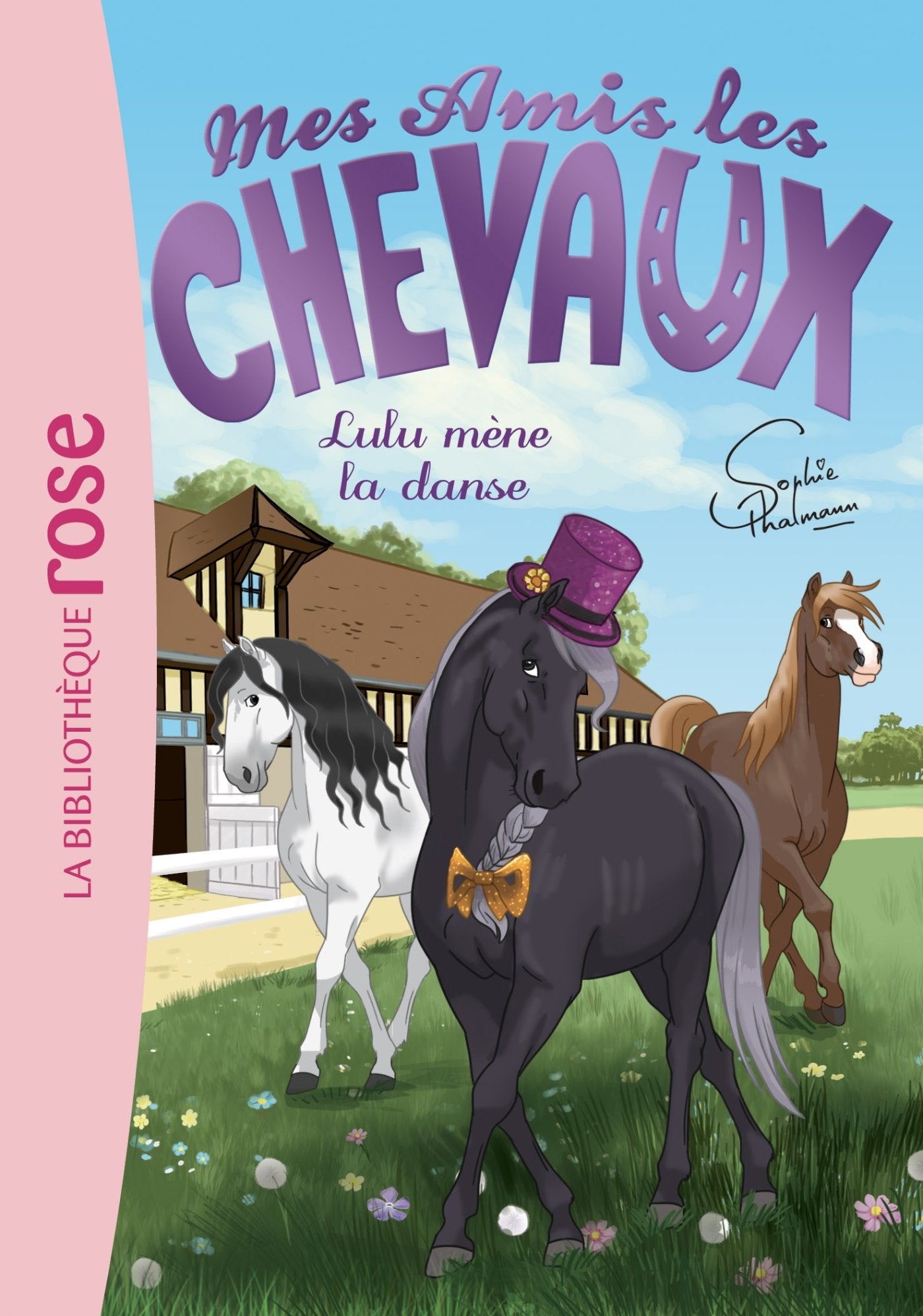 Mes amis les chevaux 22 - Lulu mène la danse 9782017048534