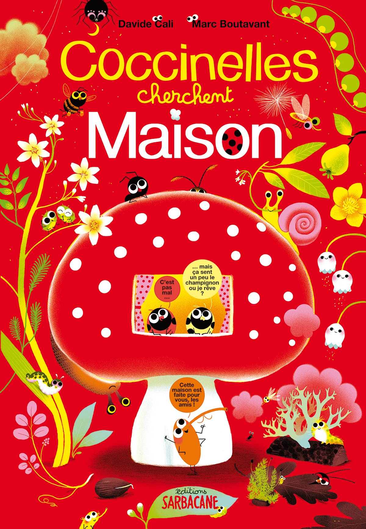 Coccinelles cherchent maison ! 9782848652474