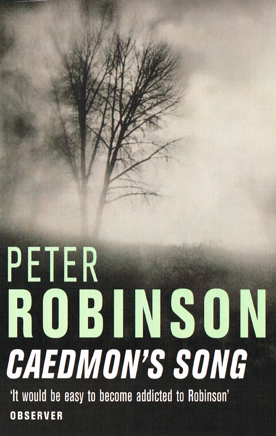 Caedmon's Song 9780330426725