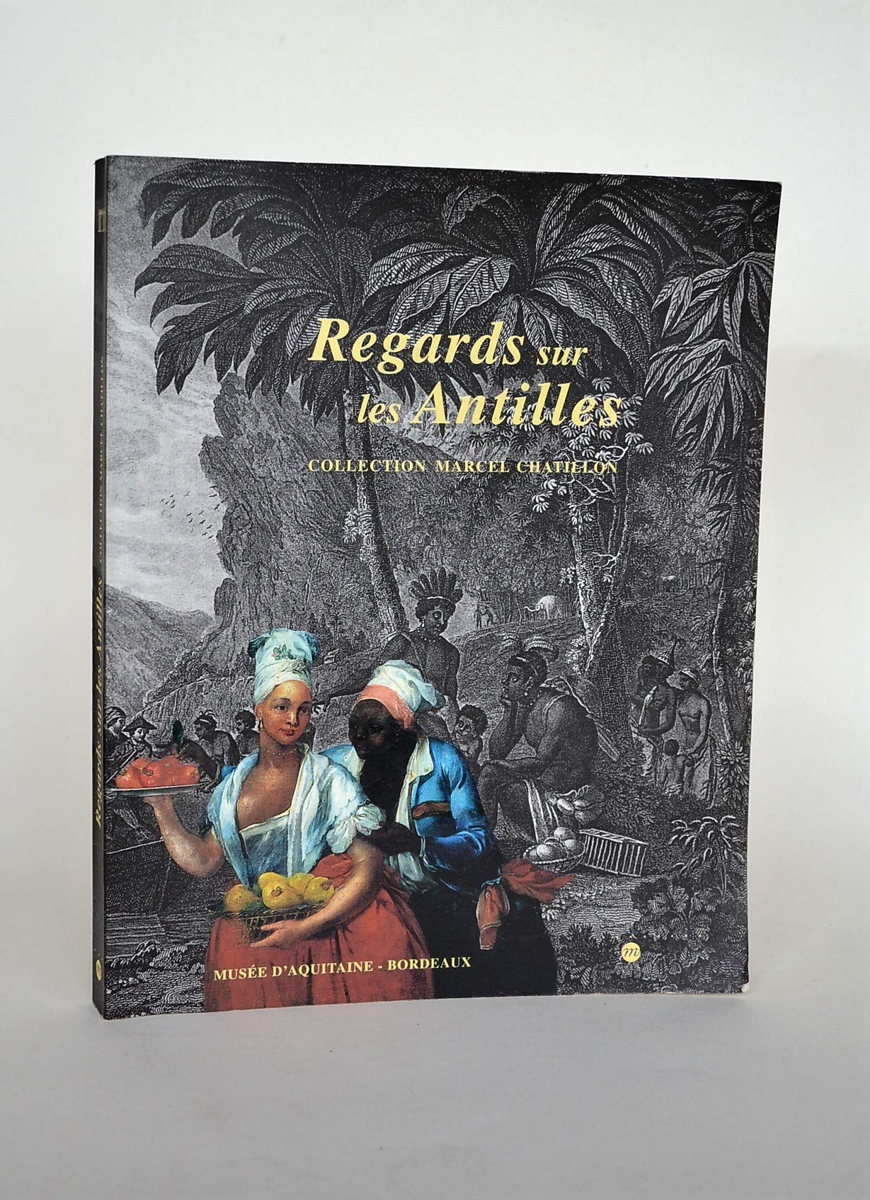 Regards sur les antilles 9782711839032