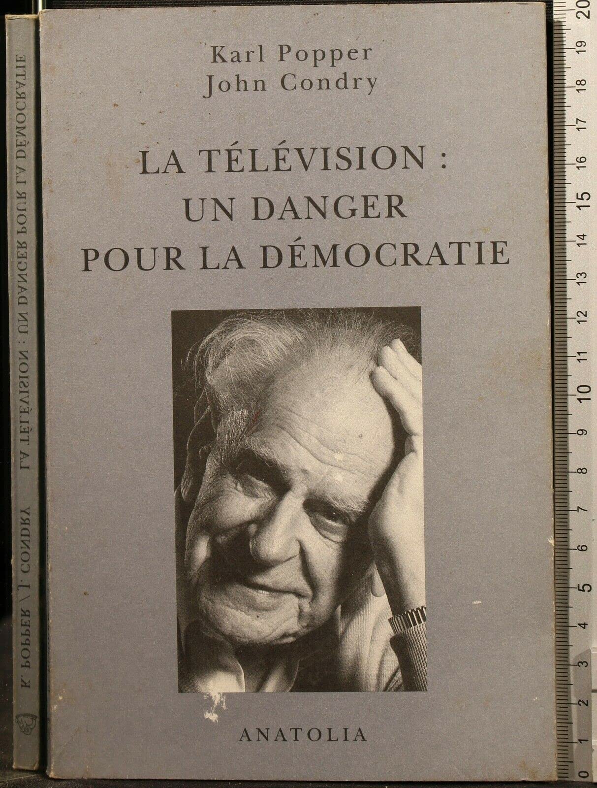 La télévision, un danger pour la démocratie 9782909848181