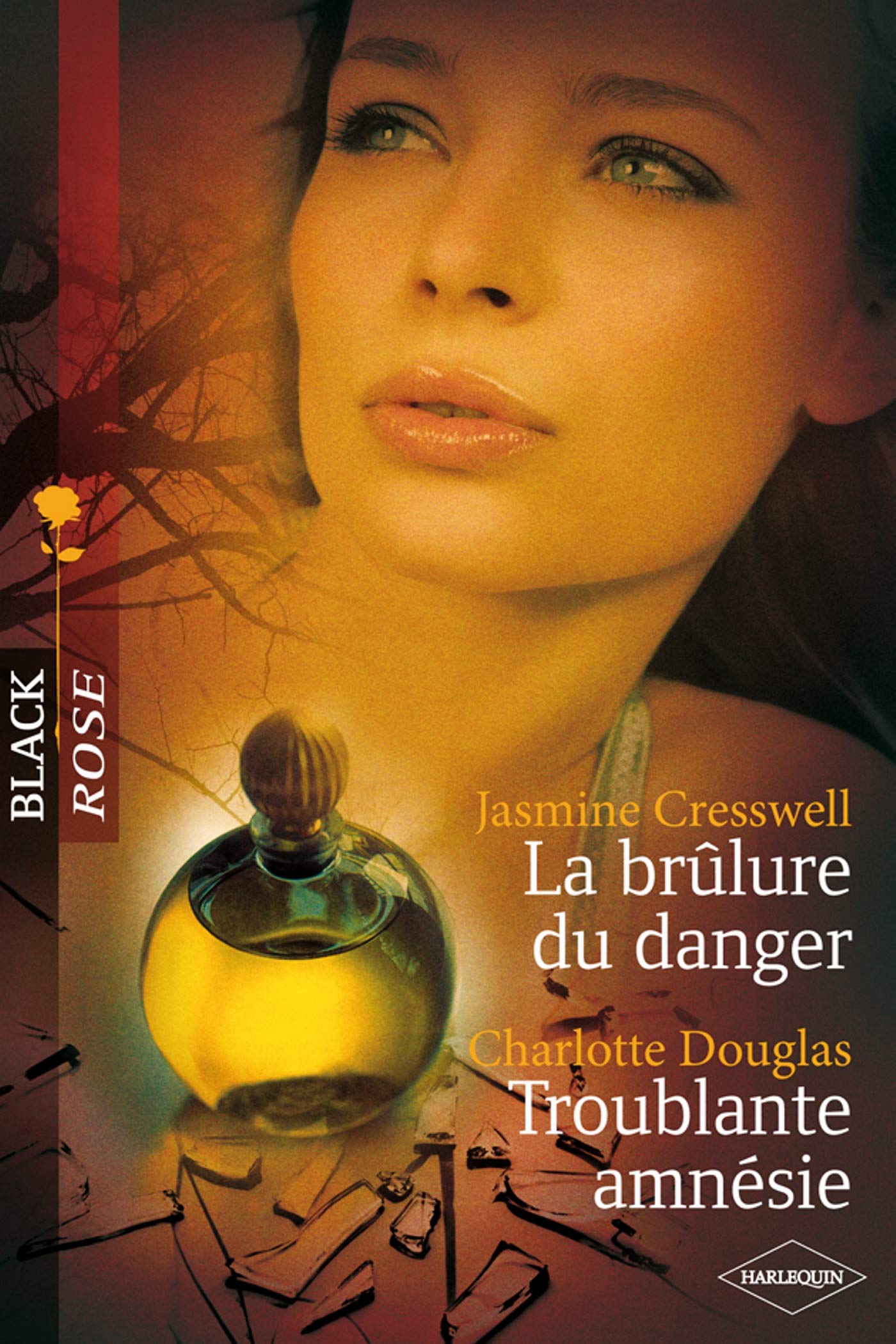 La brûlure du danger ; Troublante amnésie 9782280843874