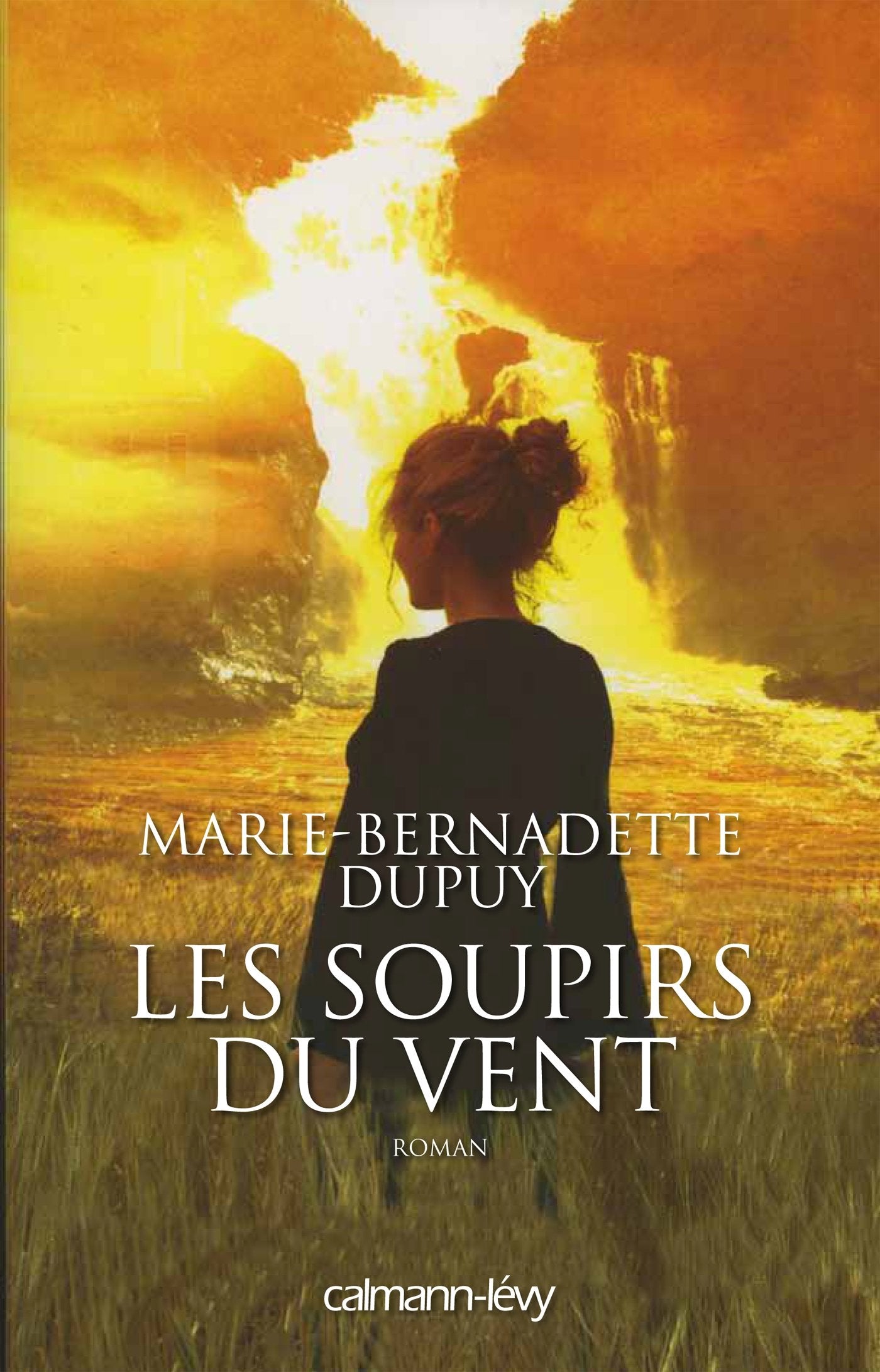 Les Soupirs du vent - L'Orpheline des neiges T3 9782702153840