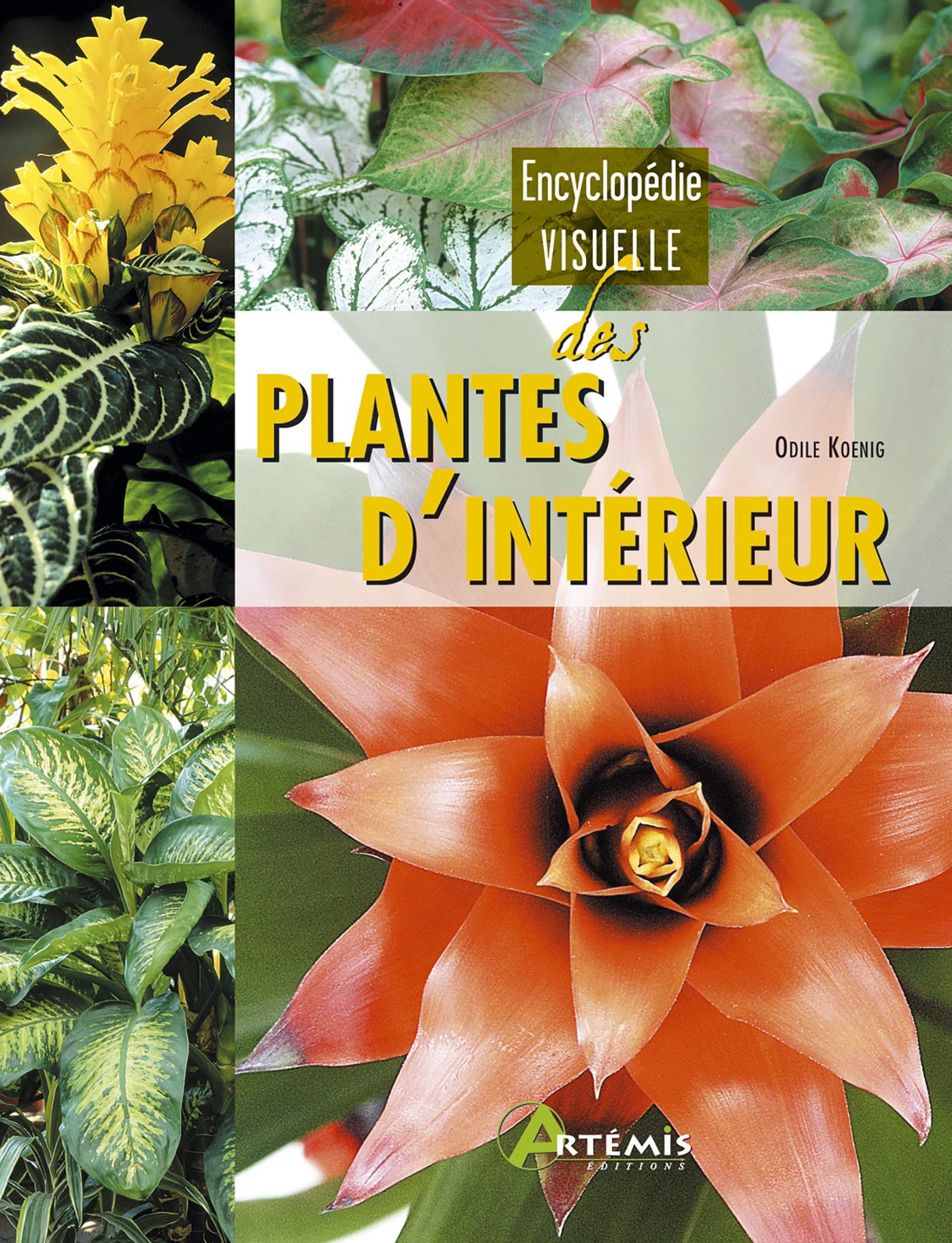 Plantes d'intérieur 9782844162687