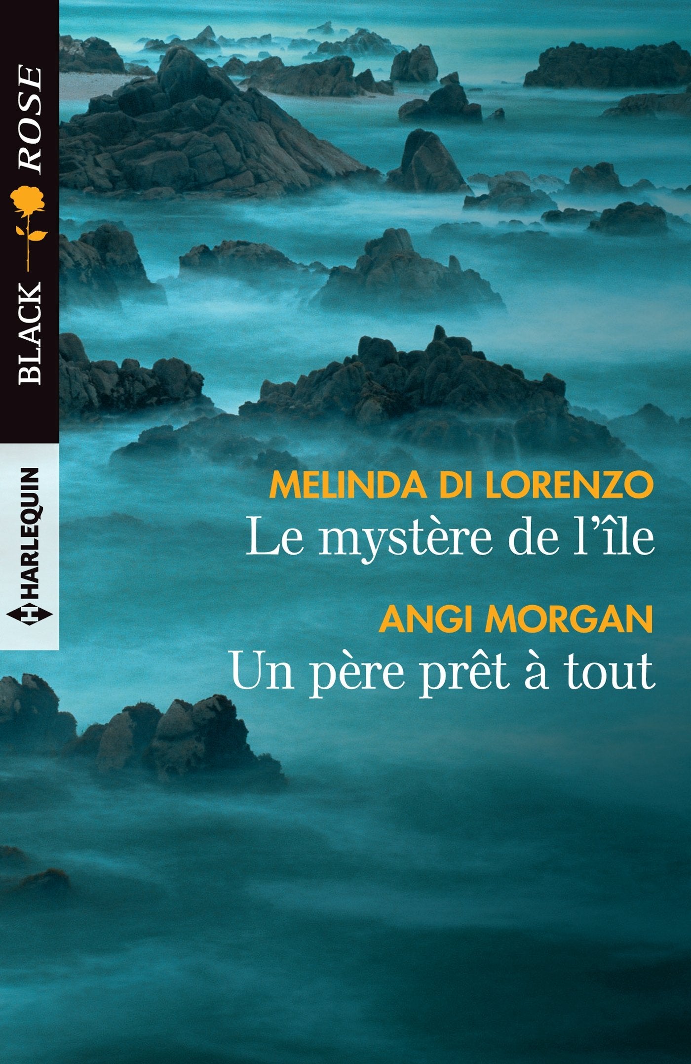 Le mystère de l'île - Un père prêt à tout 9782280367943