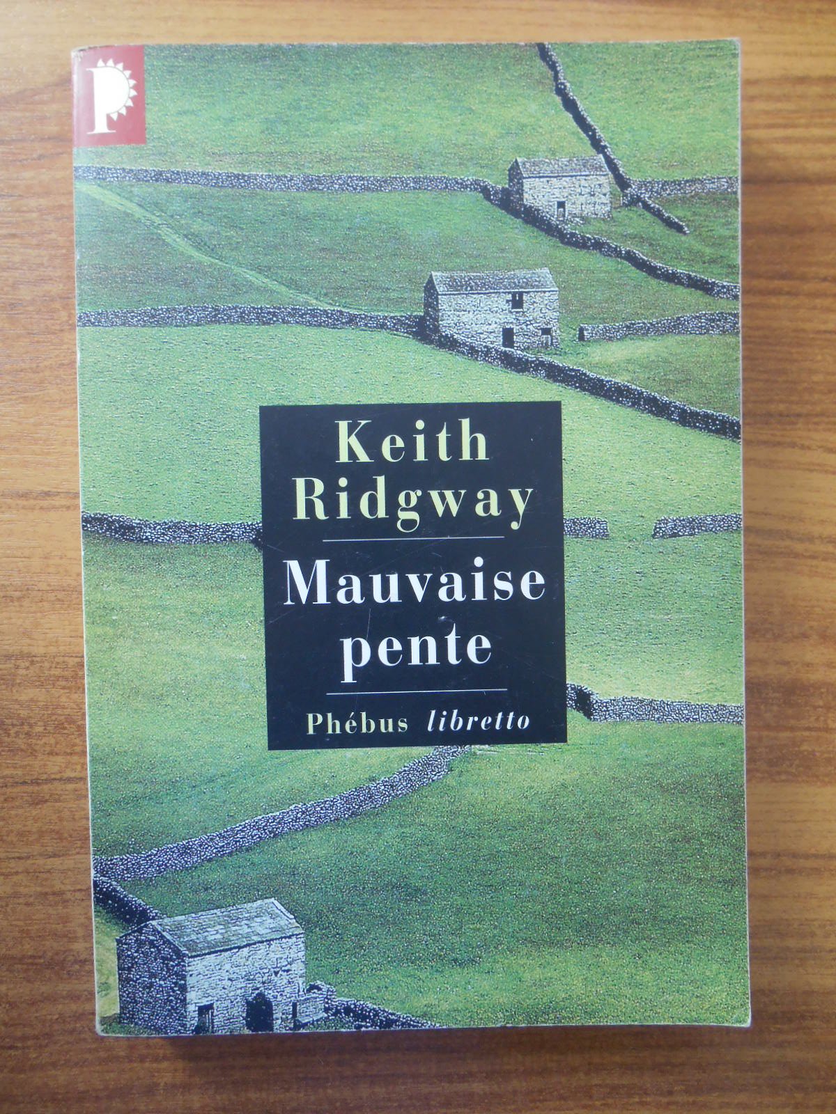 Mauvaise pente 9782752900593