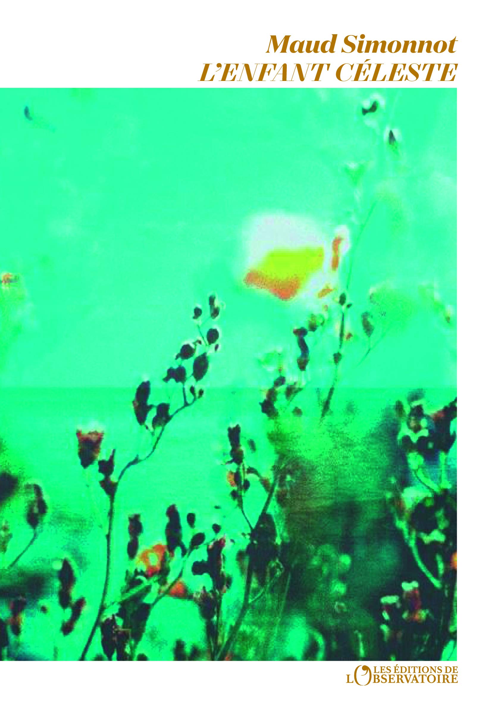 L'Enfant Céleste 9791032913697