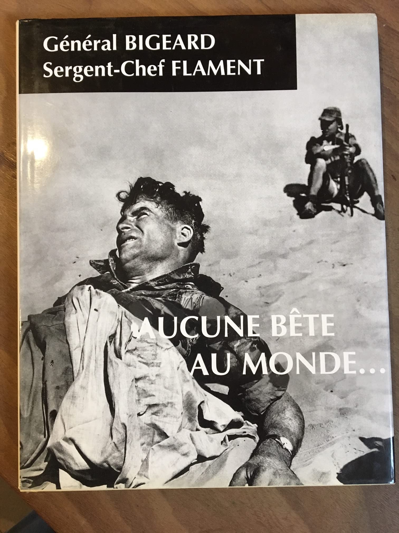 Aucune bête au monde 9782733906606