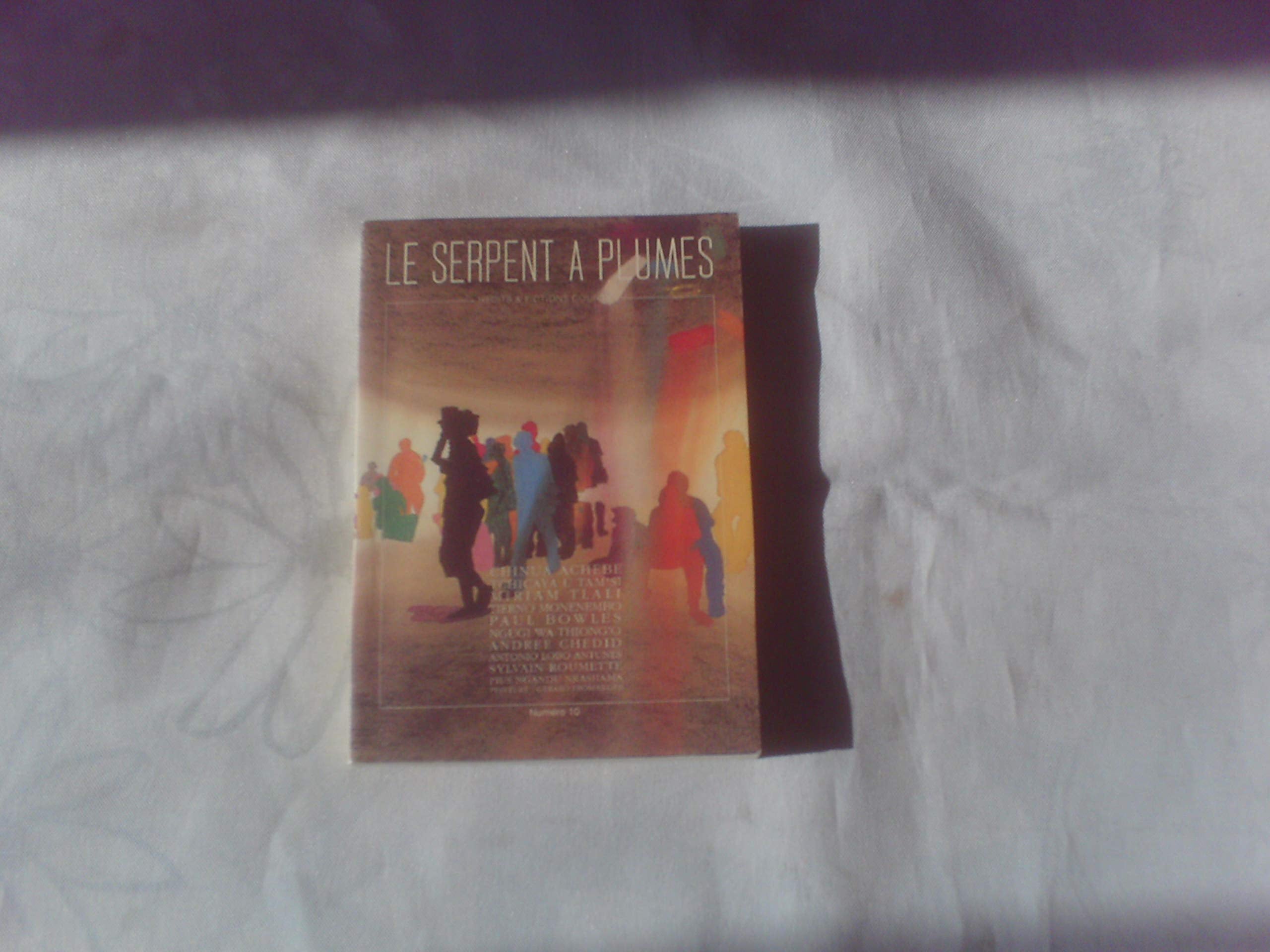 REVUE POCHE N10 AFRIQUE 9782908957211