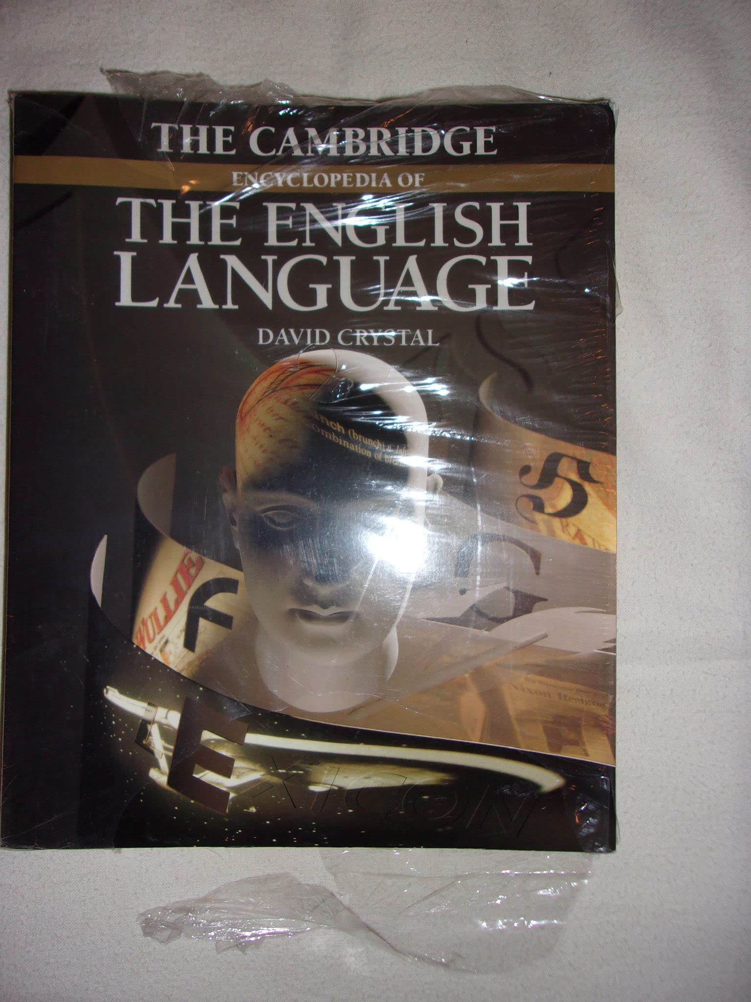The Cambridge Encyclopedia of the English Language 9780521401791