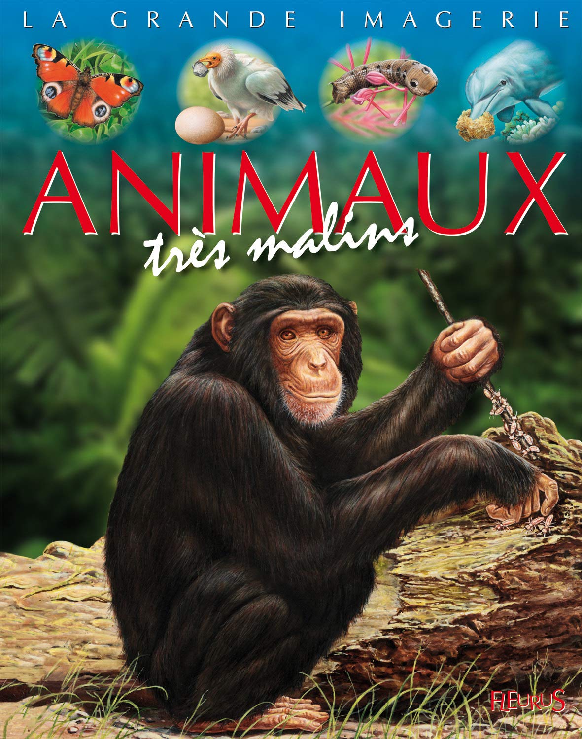 Les animaux très malins 9782215115694