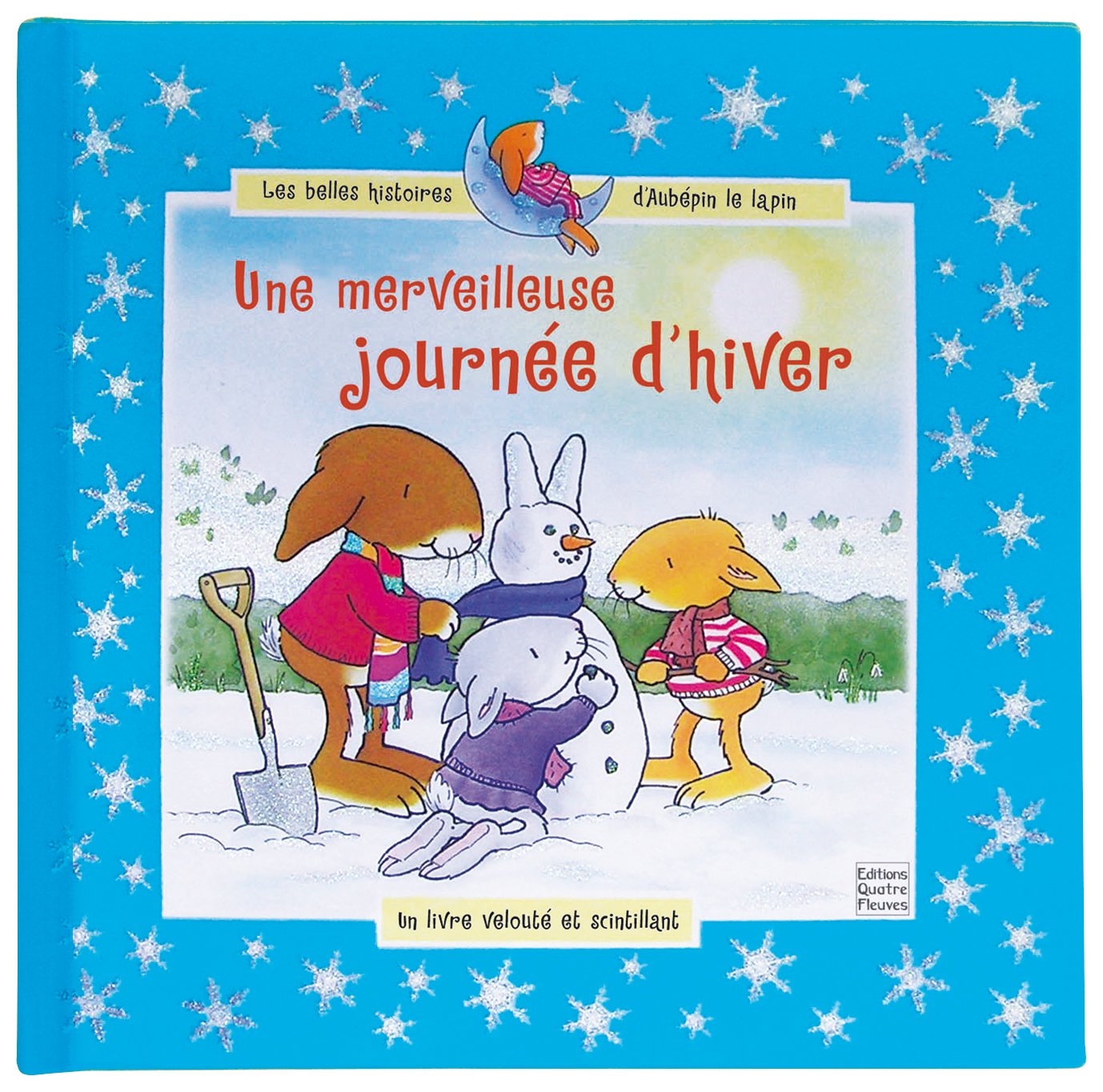 Une merveilleuse journée d'hiver 9782841966301