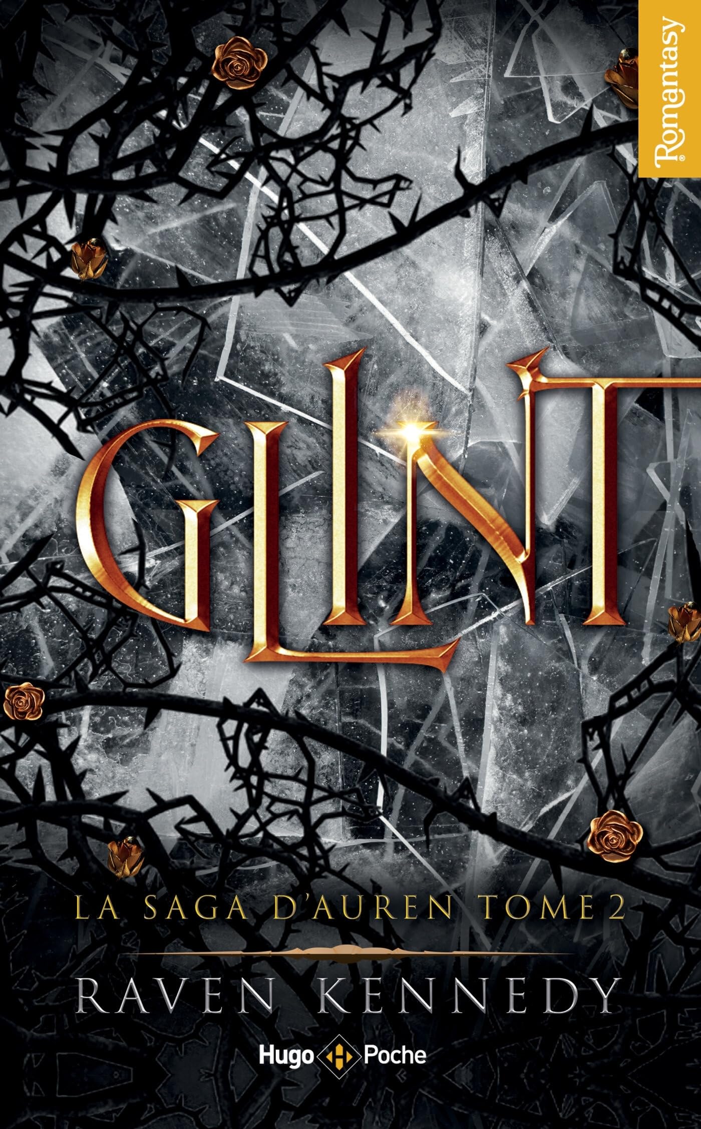 La saga d'Auren - Tome 02: Glint 9782755670981