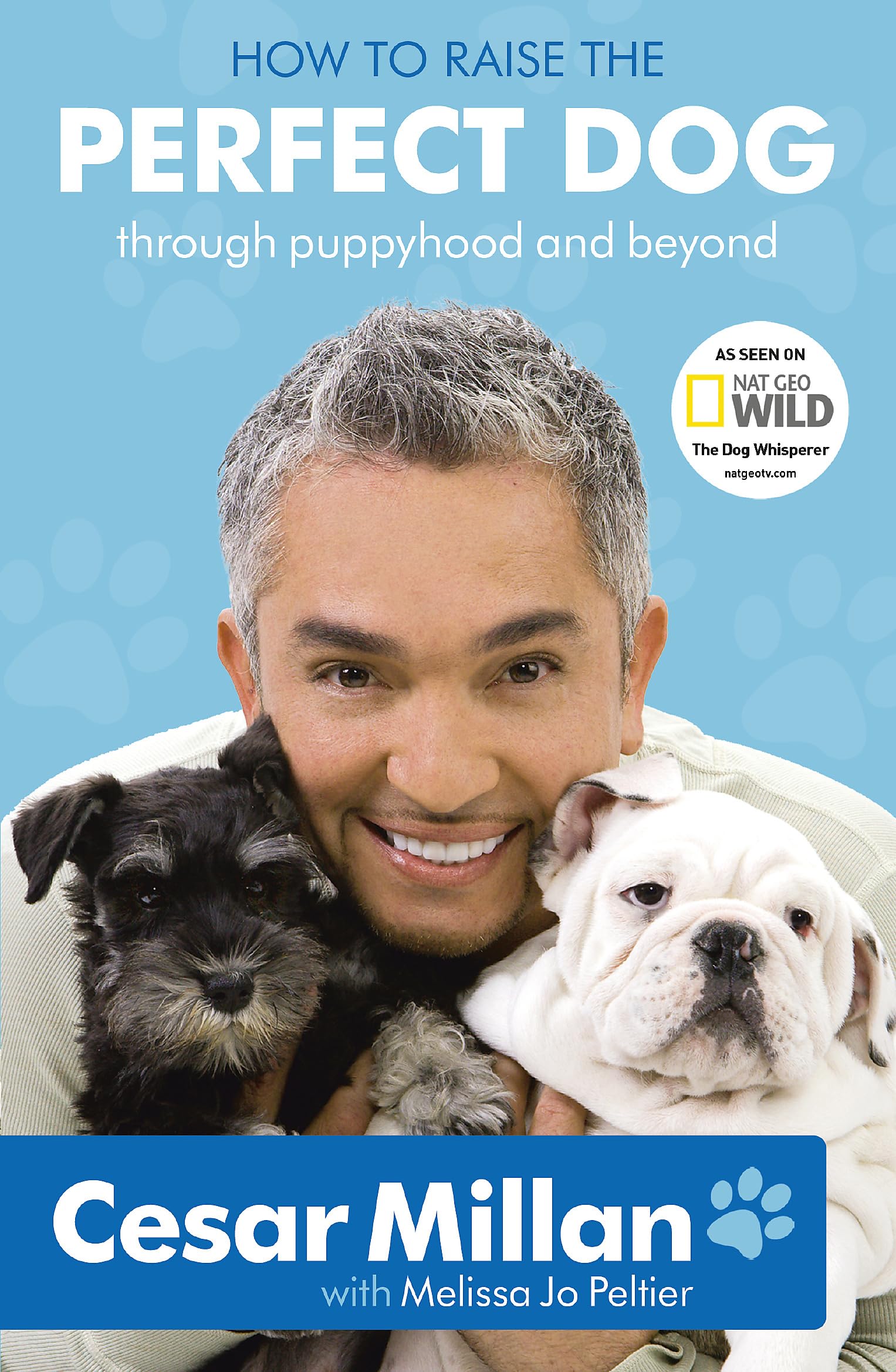 How to Raise the Perfect Dog 9780340993071