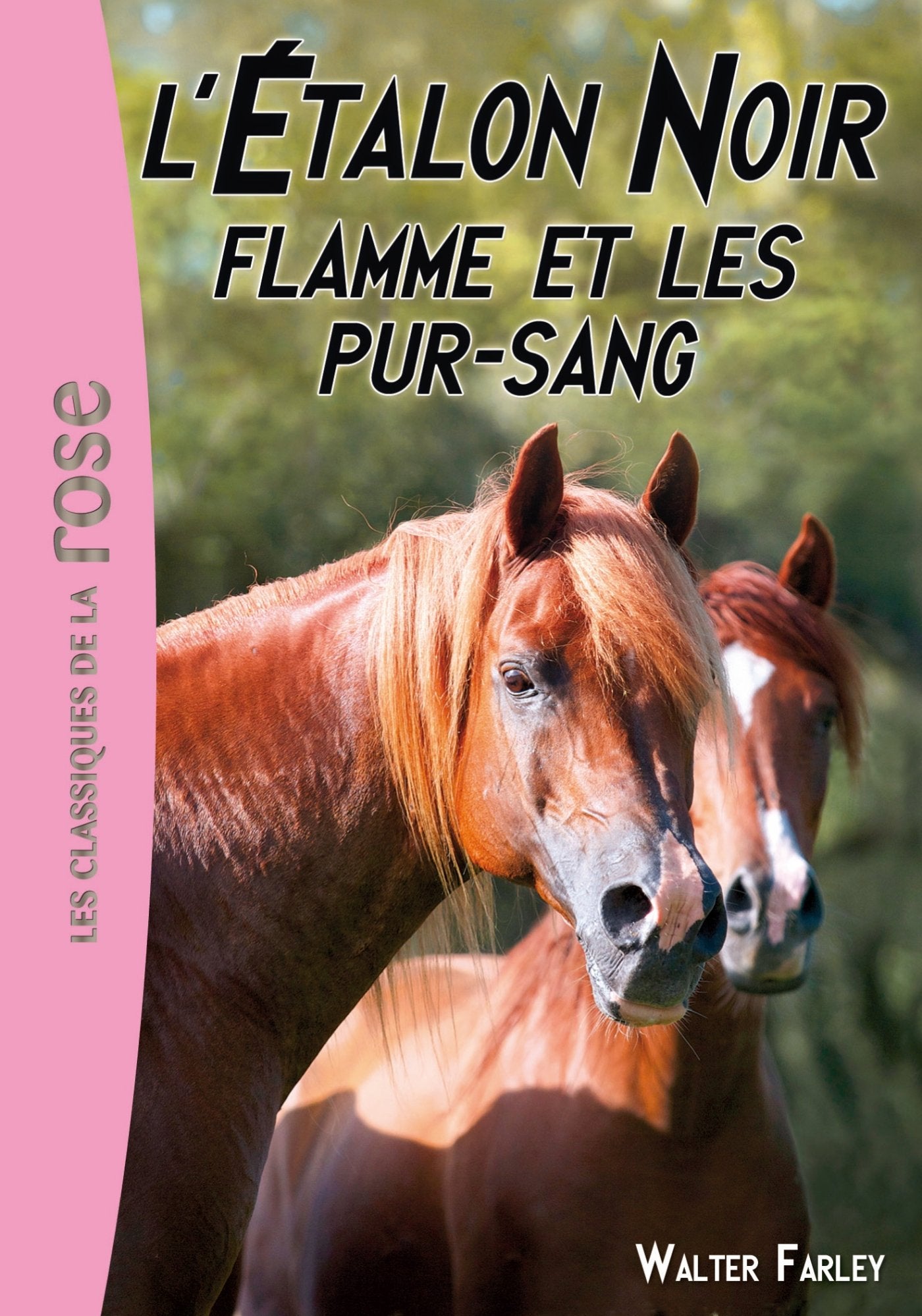 L'Étalon Noir 11 - Flamme et les pur-sang 9782012036147