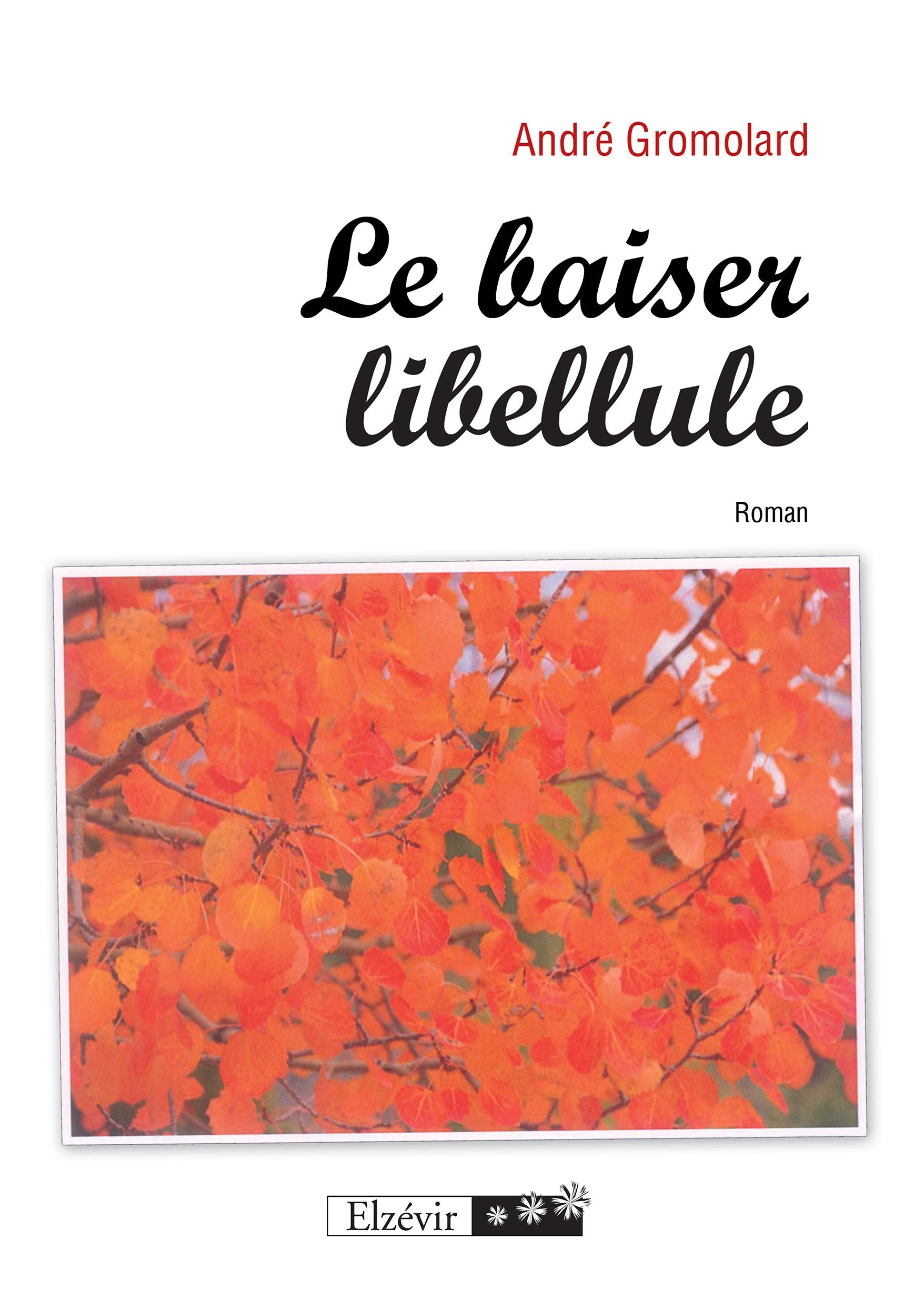 Le Baiser Libellule 9782811407681