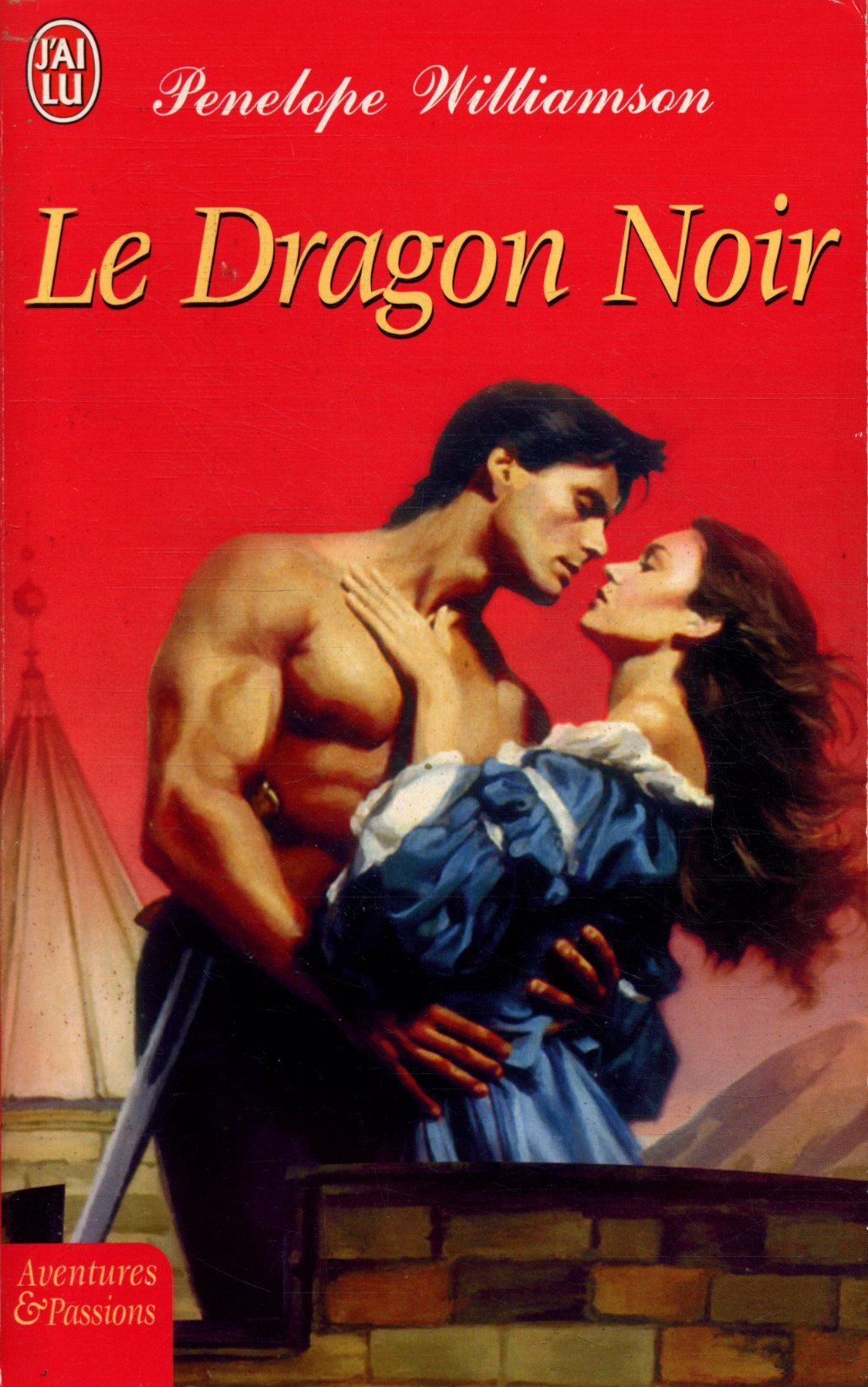 Dragon noir (Le) 9782290343555