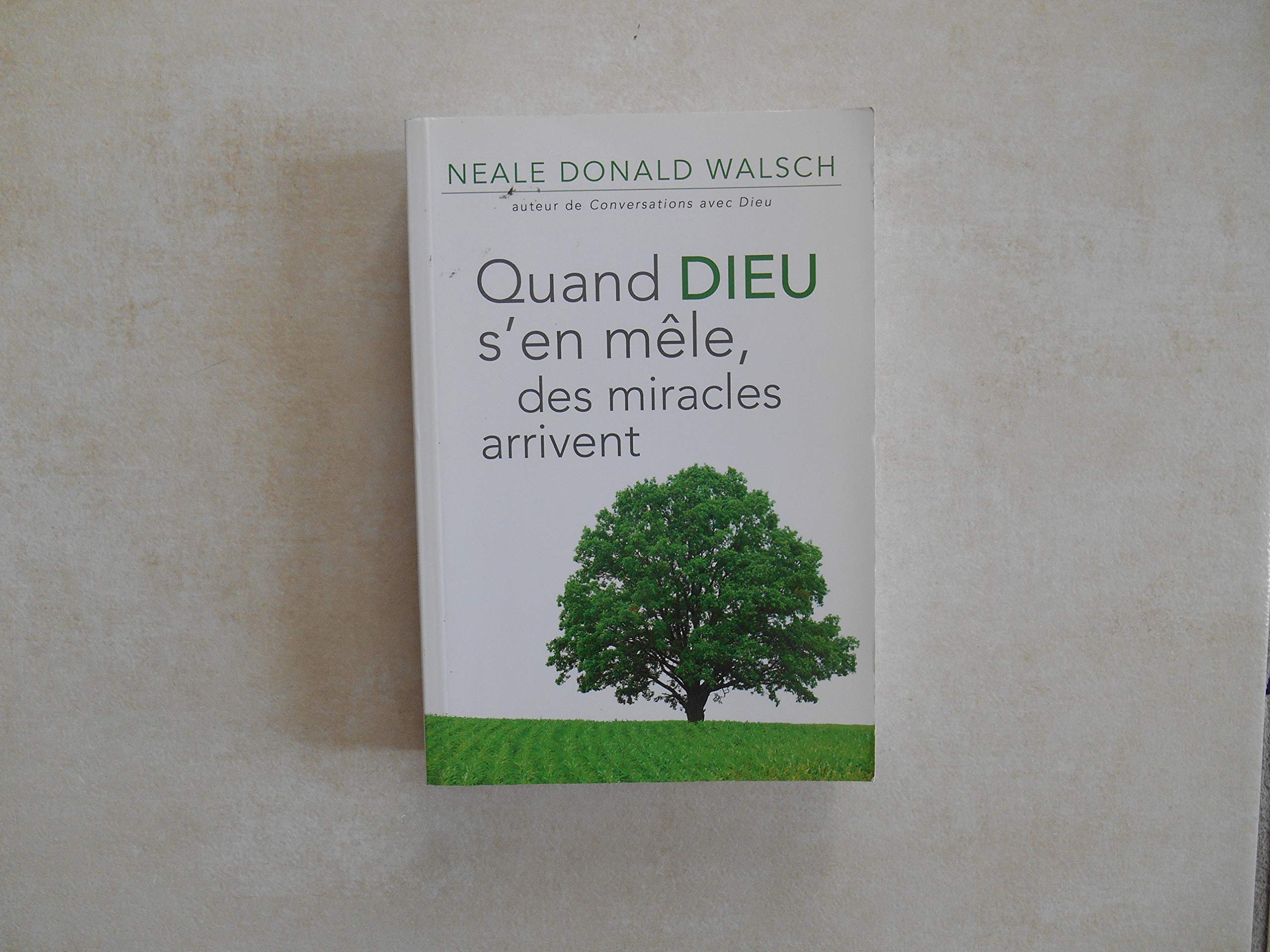 Quand Dieu s'en mêle, des miracles arrivent 9782286078300