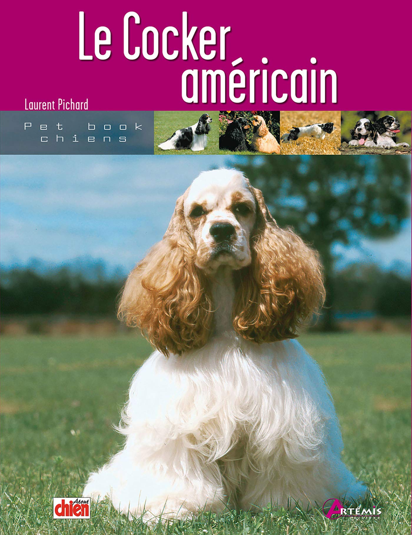 Le cocker américain (0) 9782844166319