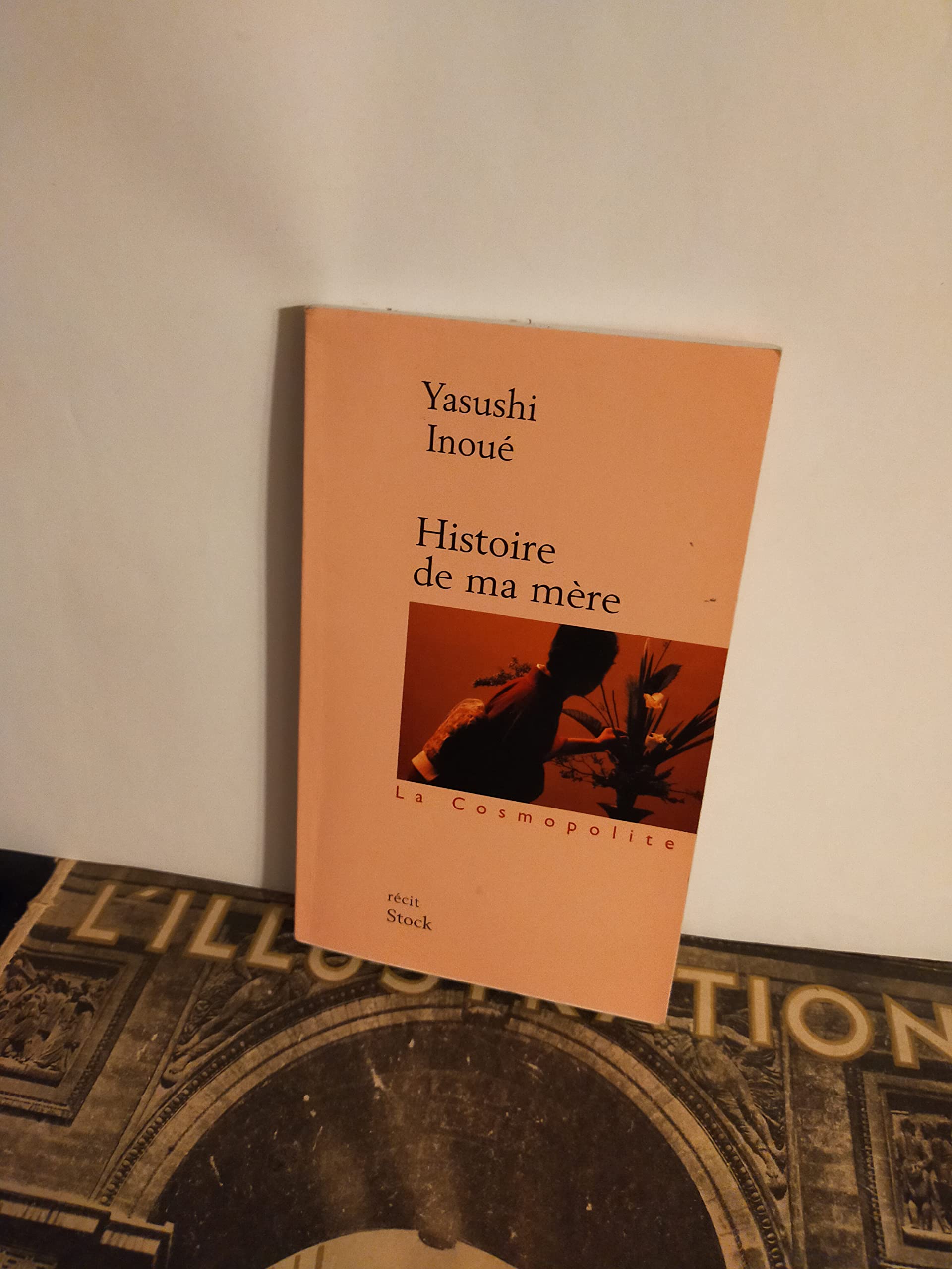 Histoire de ma mère 9782234056718
