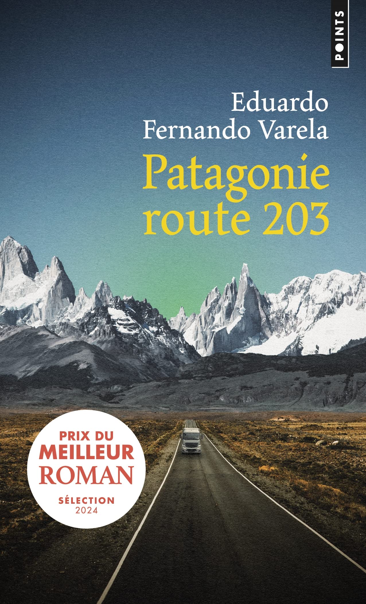 Patagonie route 203 9782757890776
