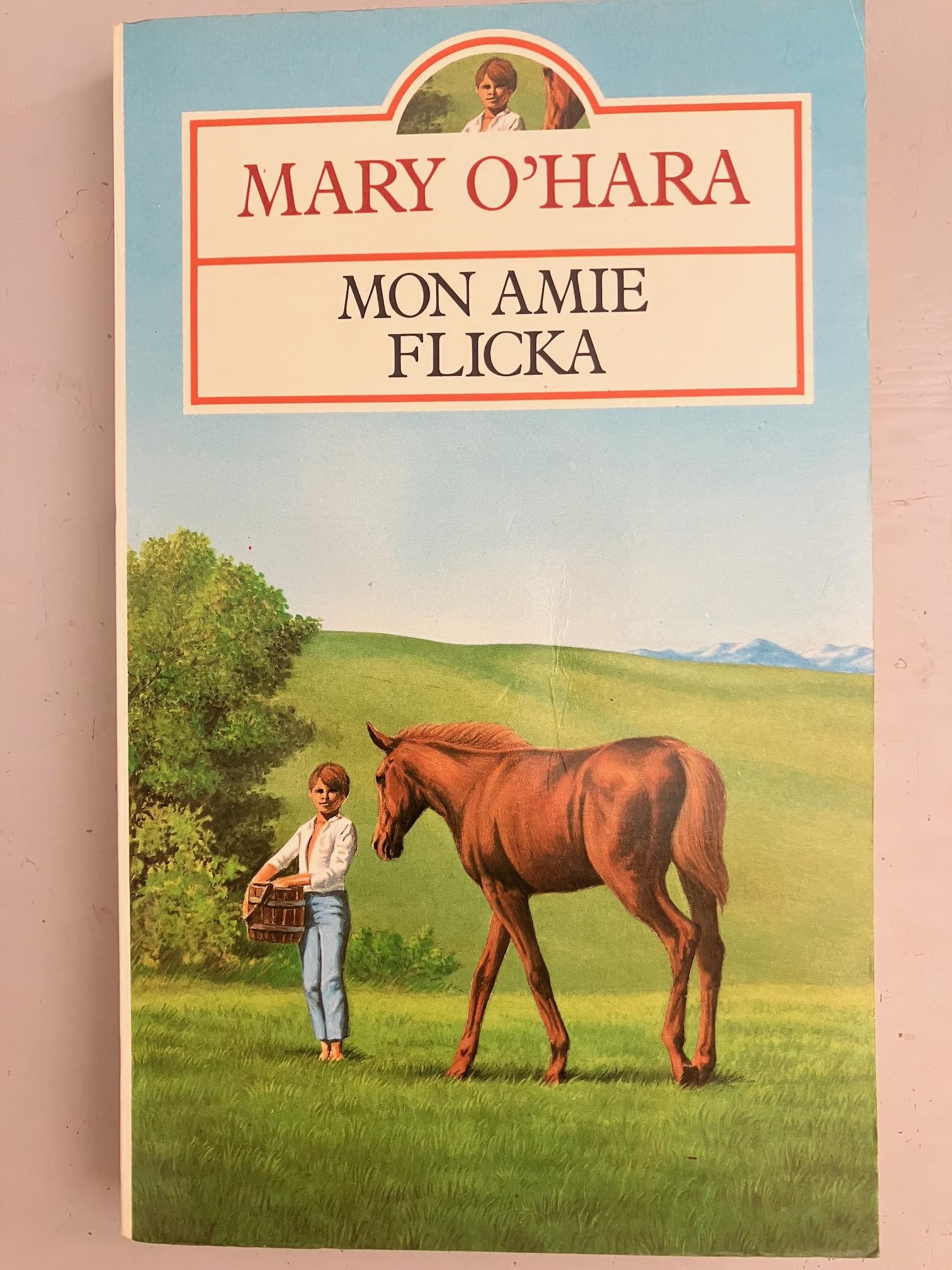 Mon amie flicka 9782266019644