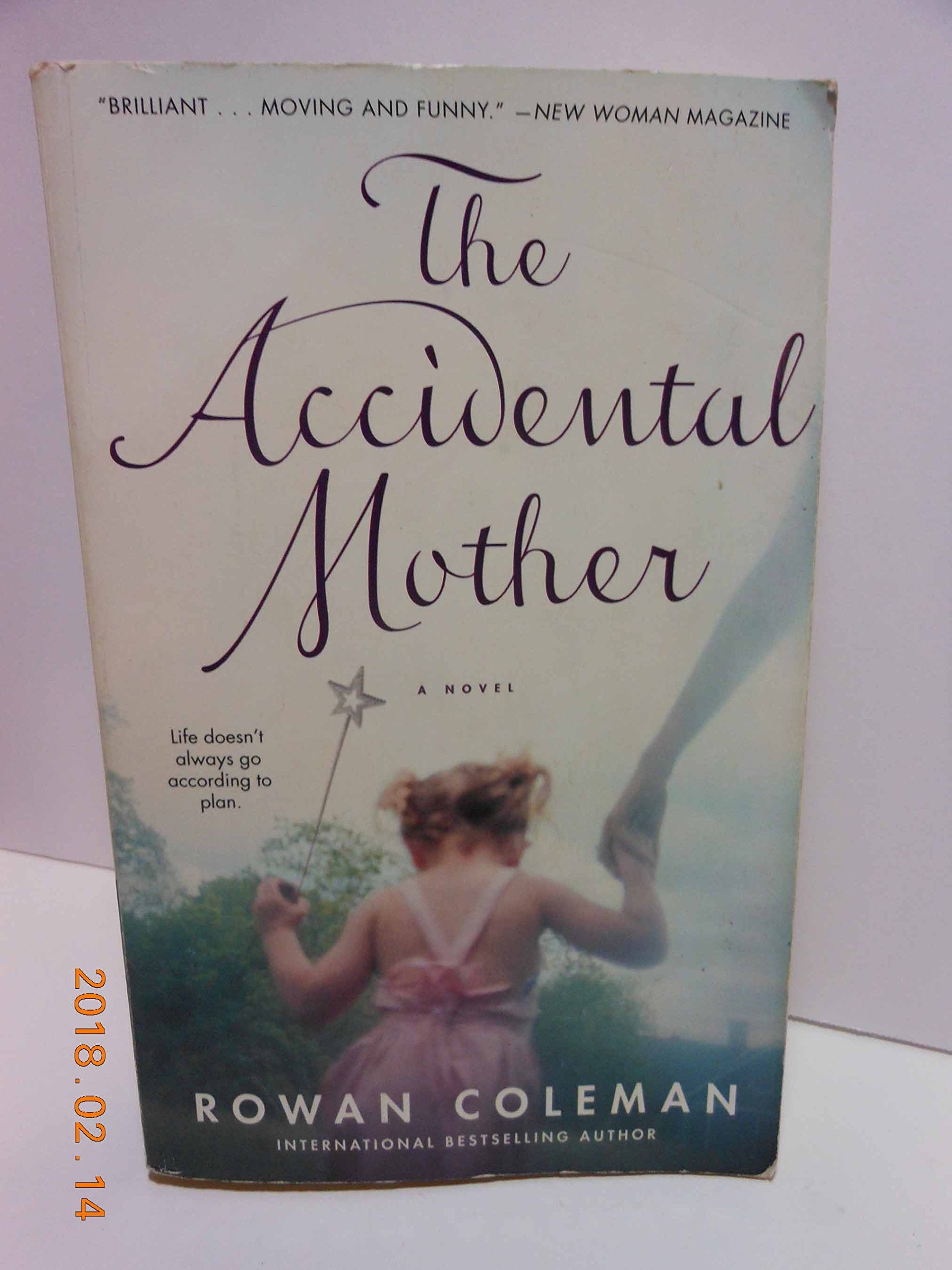The Accidental Mother 9781416532705