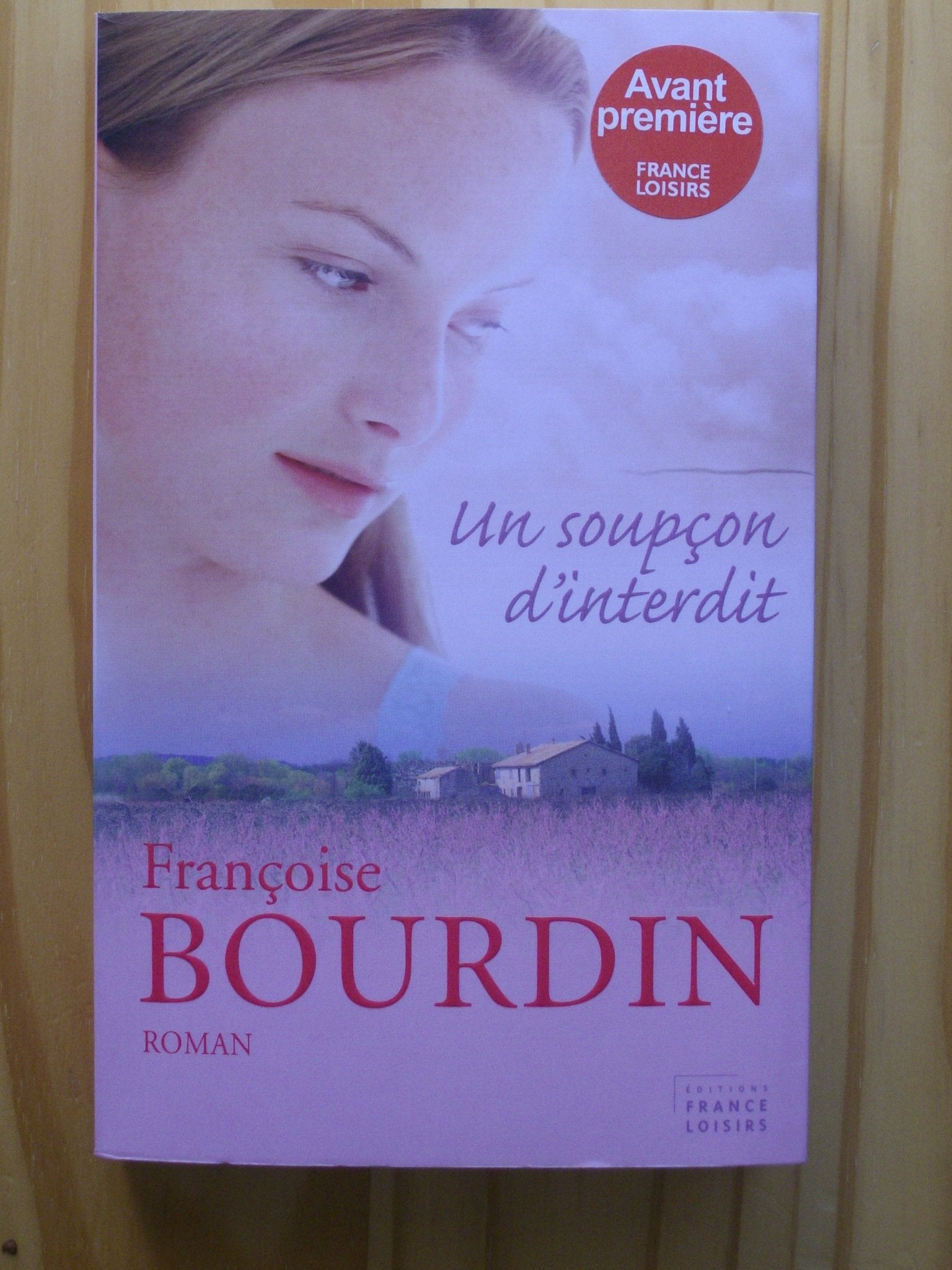 Un soupçon d'interdit 9782298026238