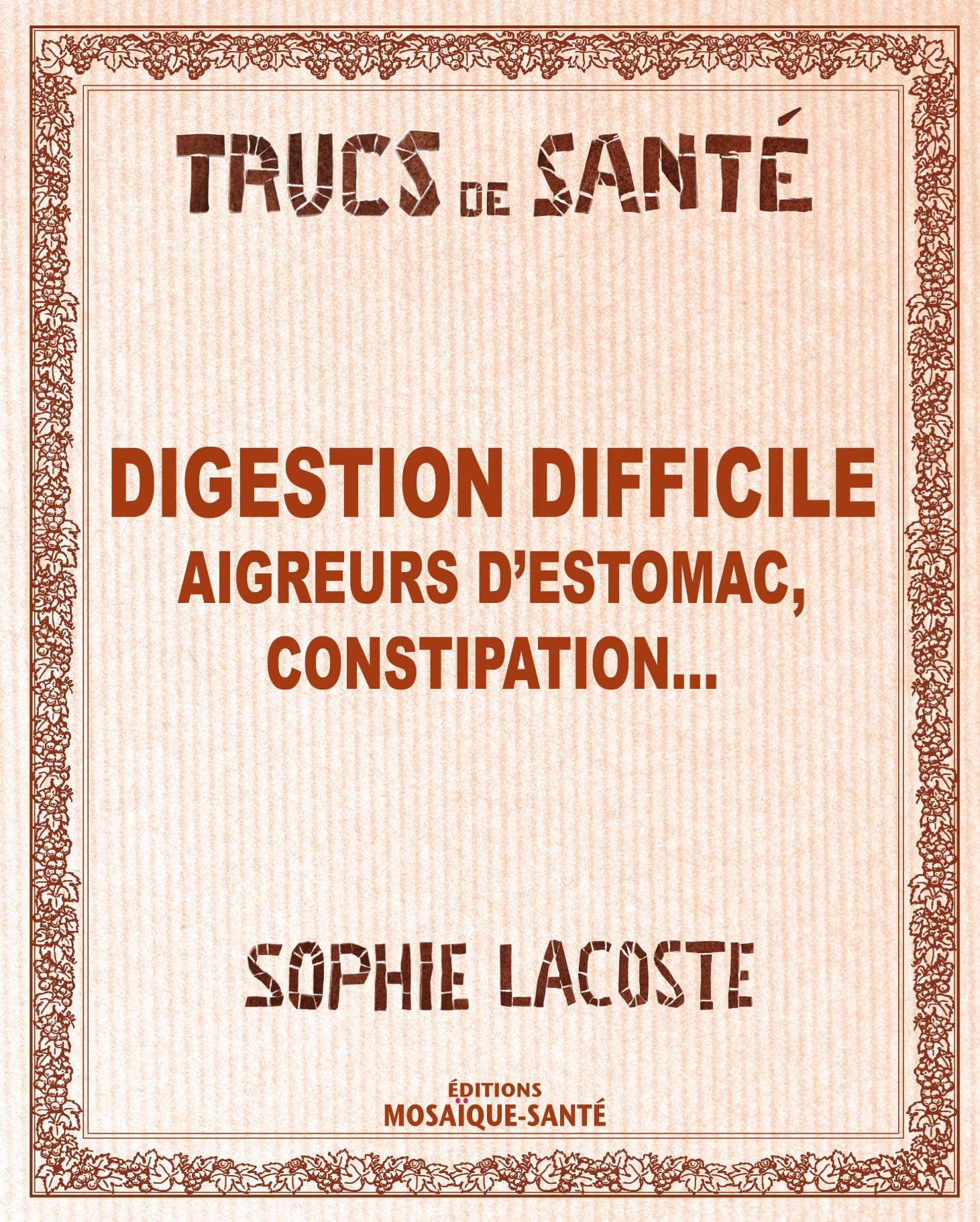 Digestion difficile - Aigreurs d'estomac constipation 9782849390269