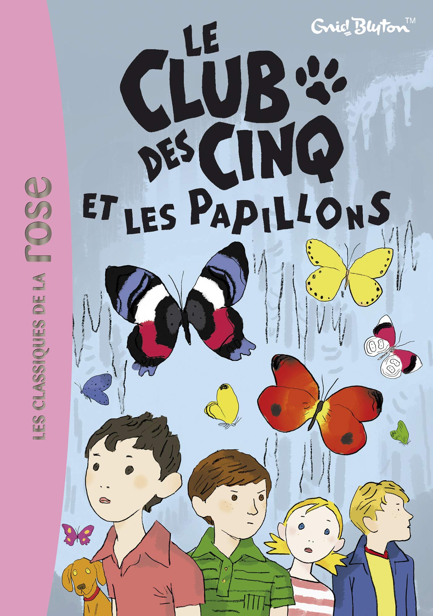 Le Club des Cinq 17 - Le Club des Cinq et les papillons 9782012016422