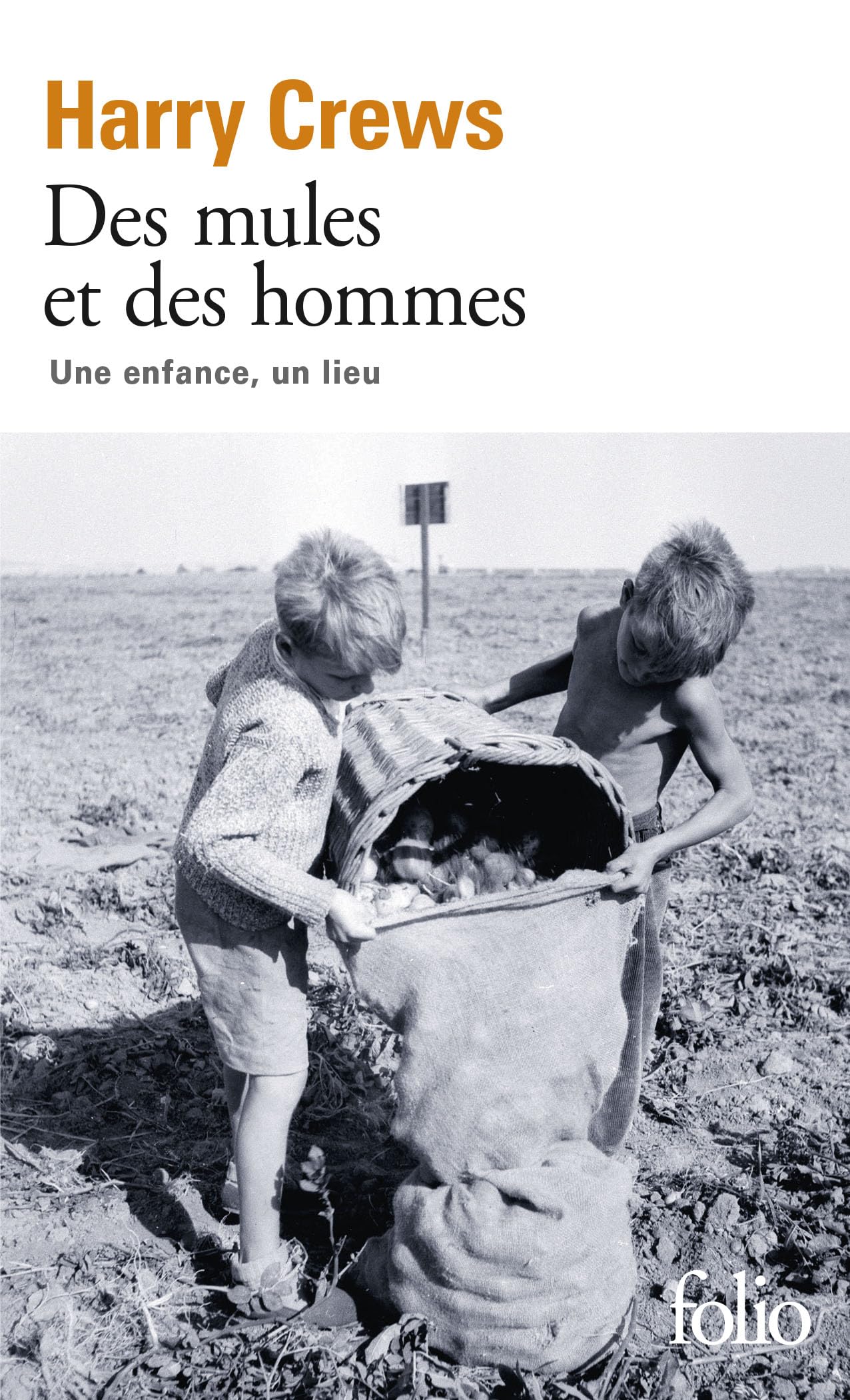 Des mules et des hommes: Une enfance, un lieu 9782070389988