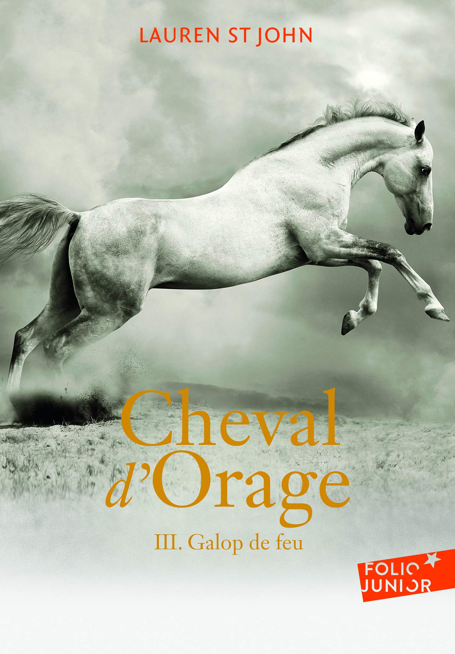 CHEVAL D'ORAGE T3 9782070650408