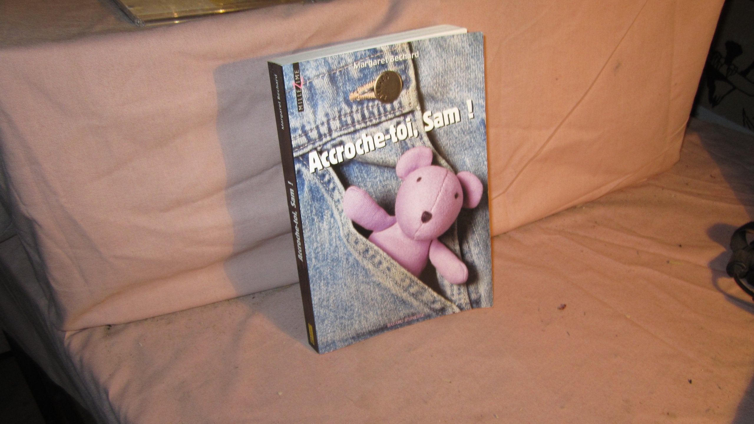 Accroche-toi, Sam ! 9782747010658