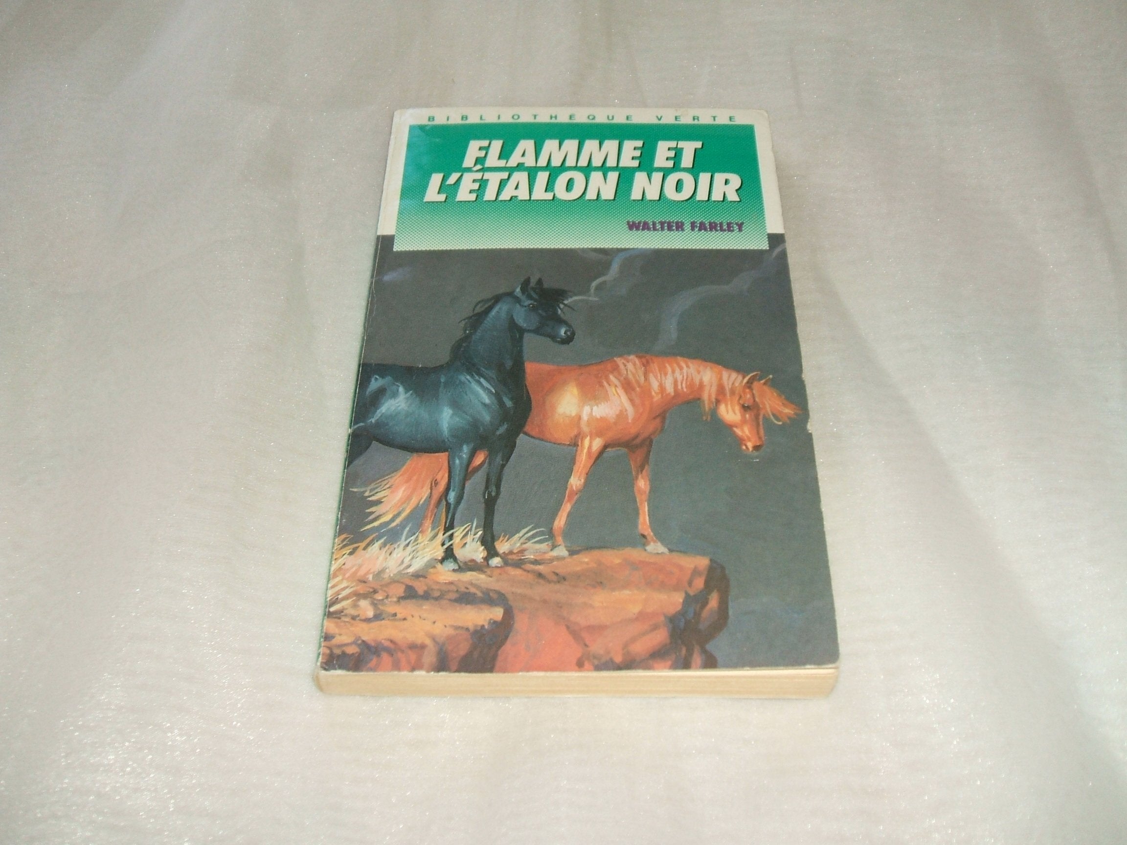 Flamme et l'étalon noir 9782010138867