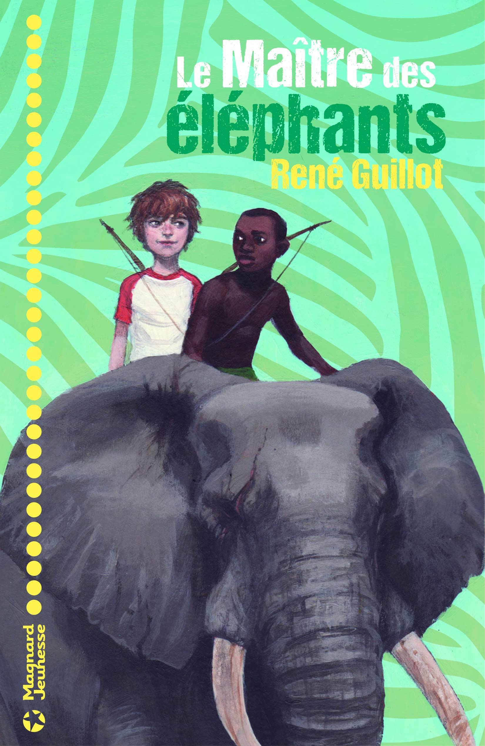 Le Maître des éléphants 9782210962170