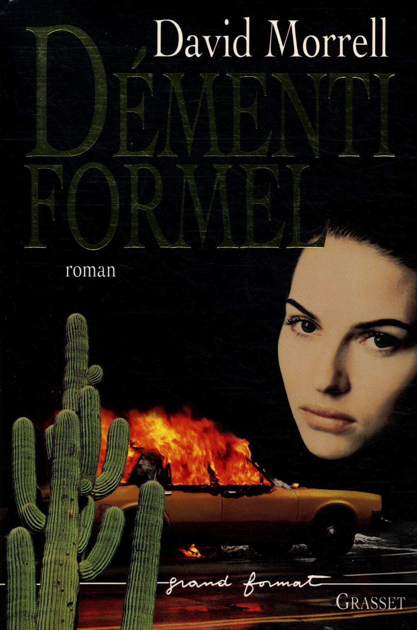 DEMENTI FORMEL 9782246518310