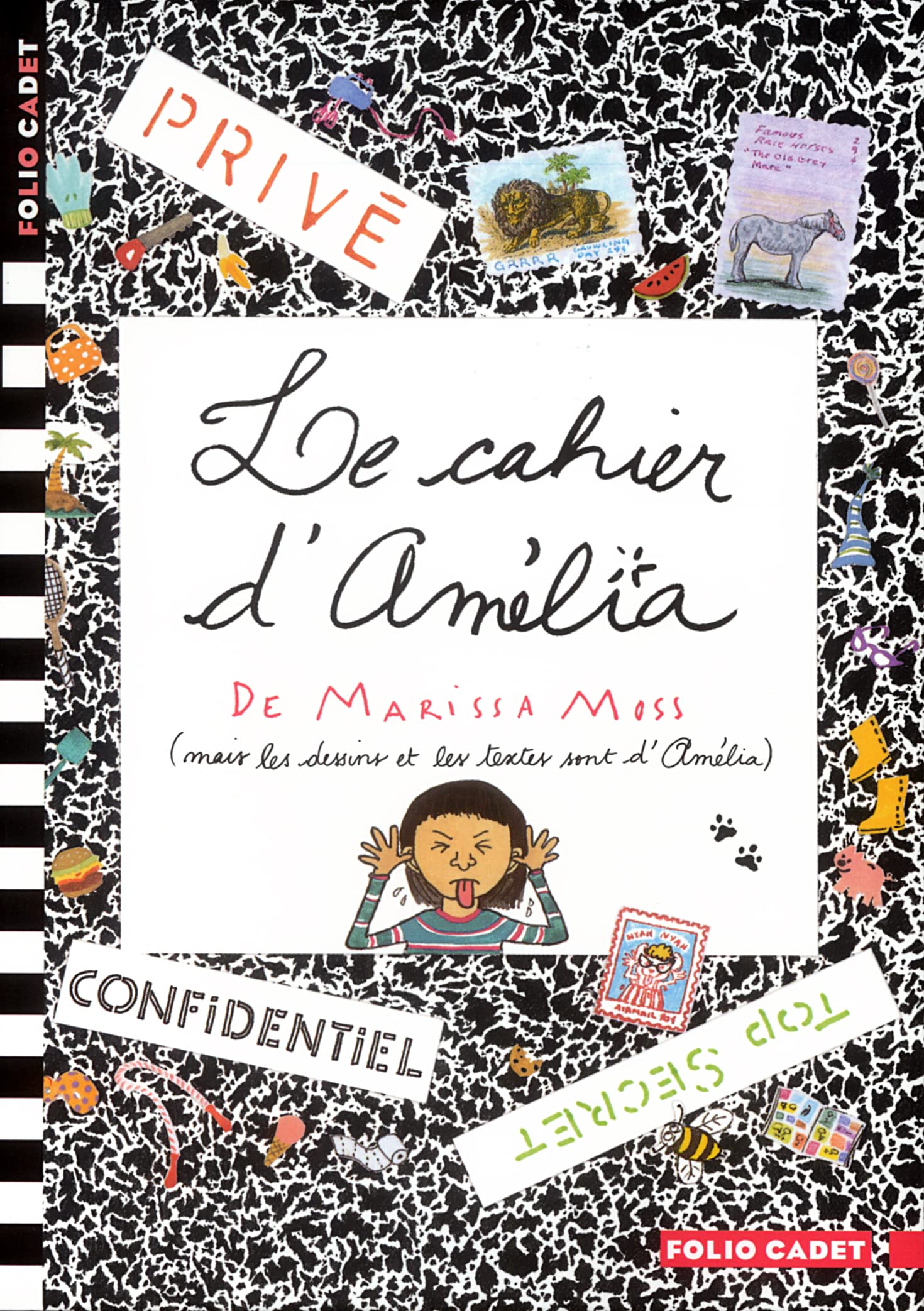 Le Cahier d'Amélia 9782070524198