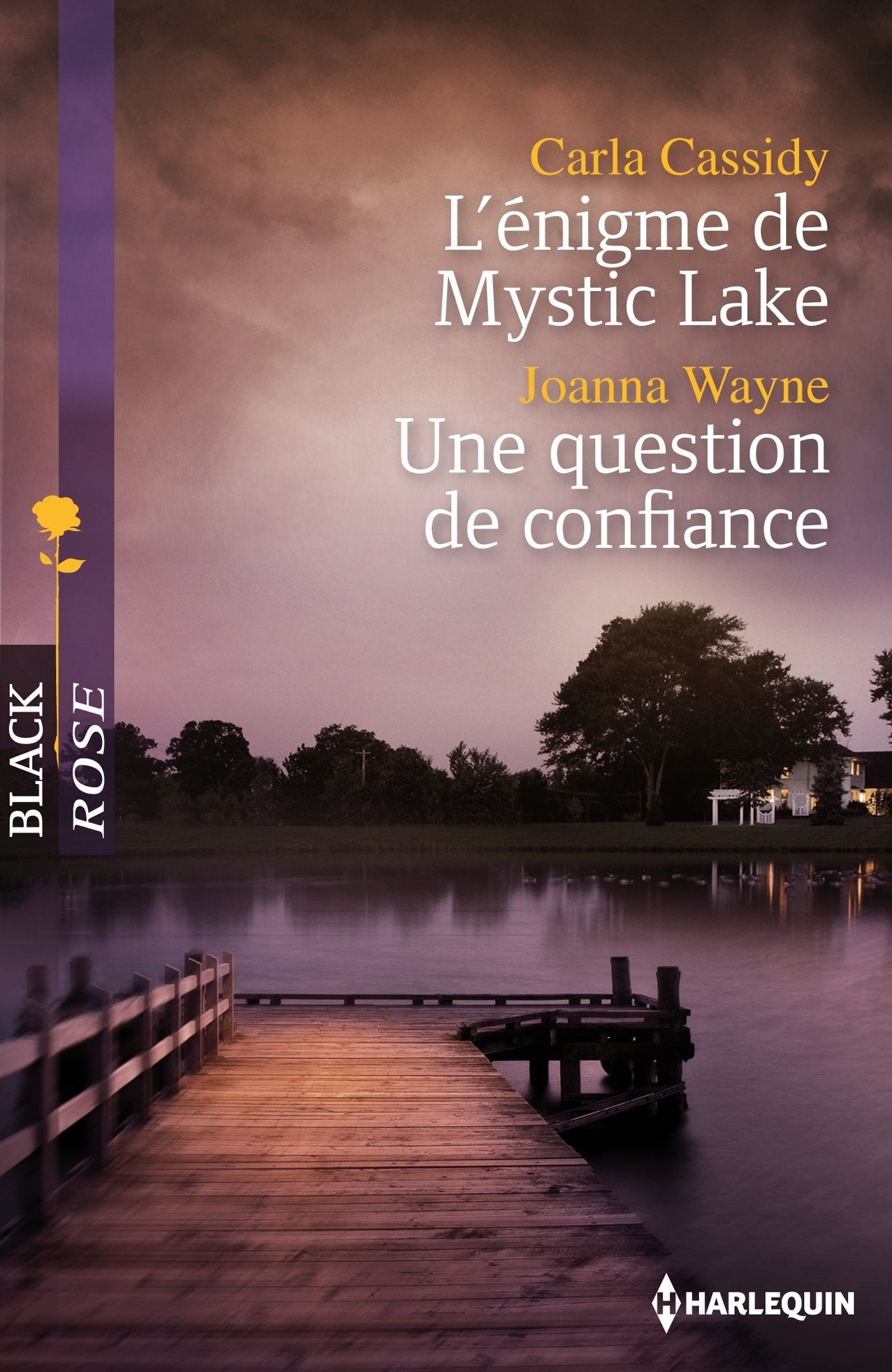 L'énigme de Mystic Lake ; Une question de confiance 9782280247047