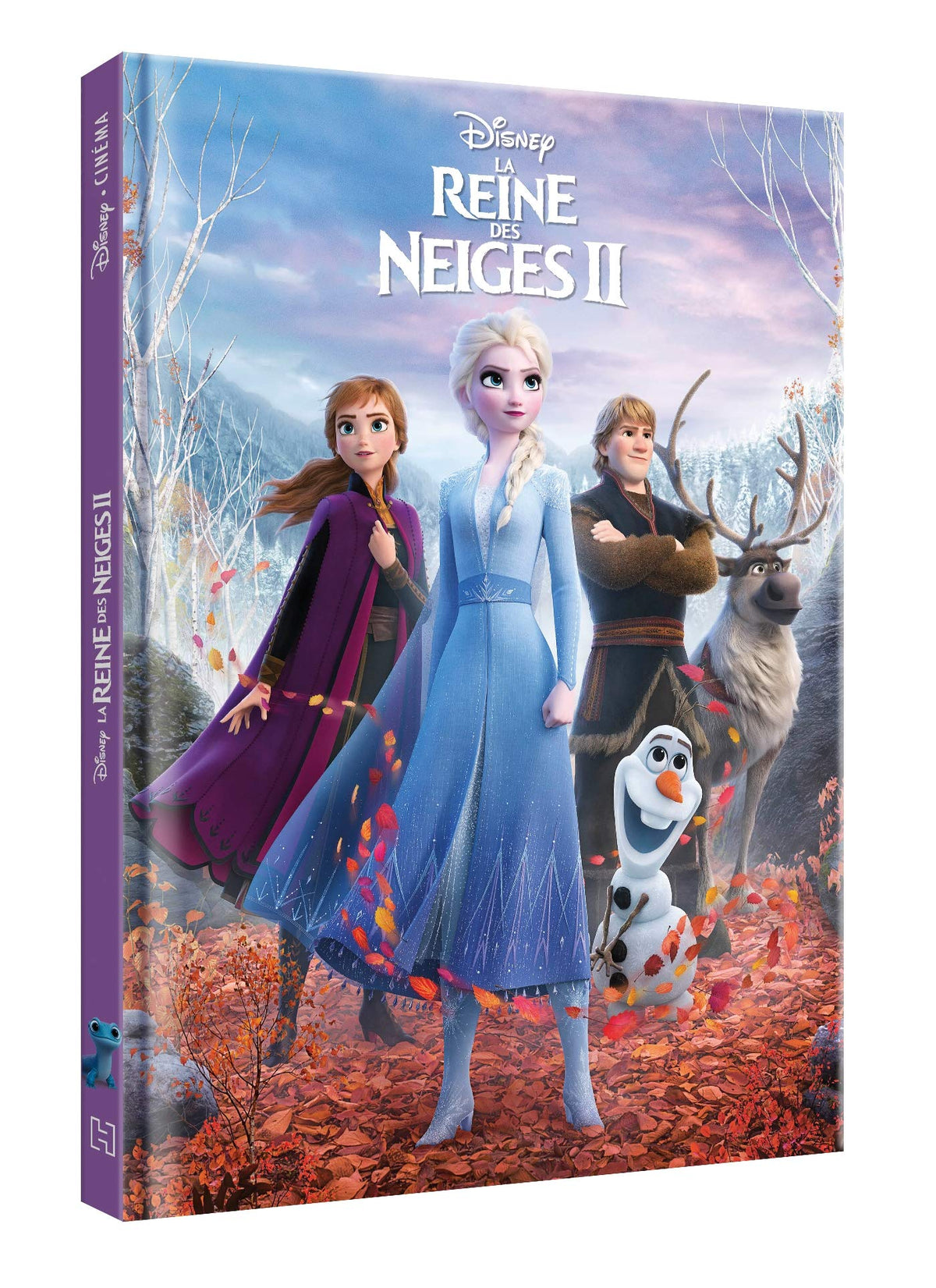 LA REINE DES NEIGES 2 - Disney Cinéma - L'histoire du film: Nouvelle édition 9782017118558