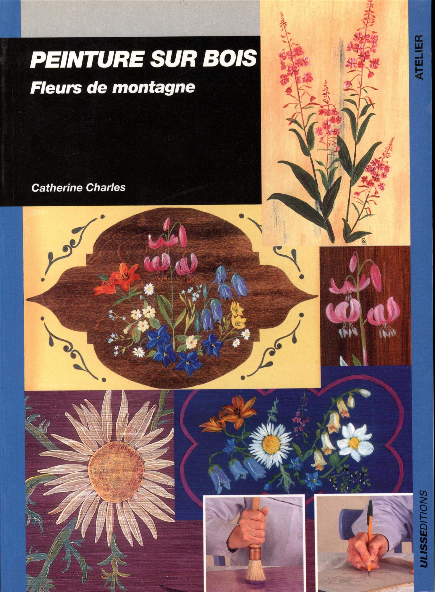 Peinture sur bois : fleurs de montagne 9782844151018