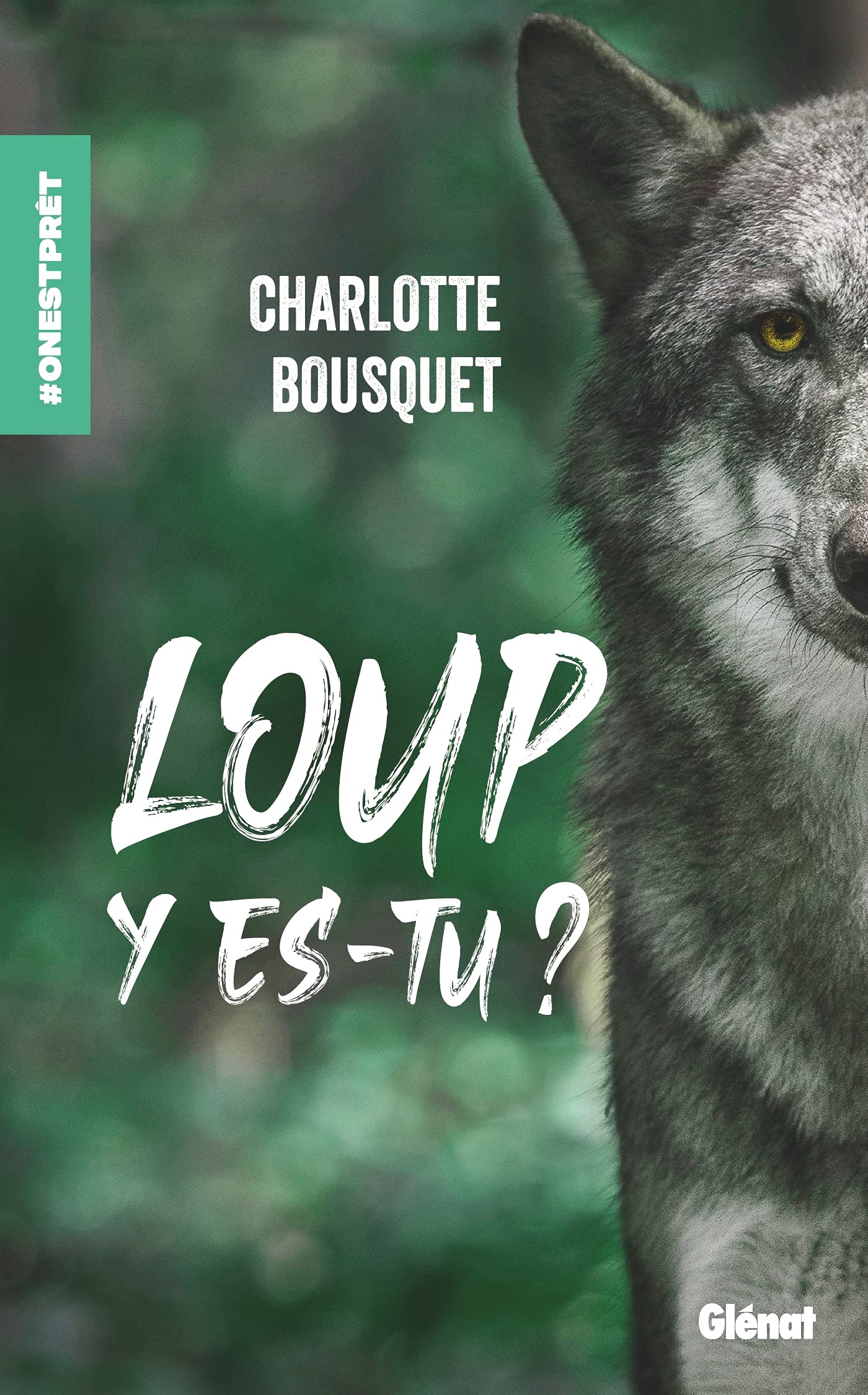 Loup y es-tu ? 9782344047026