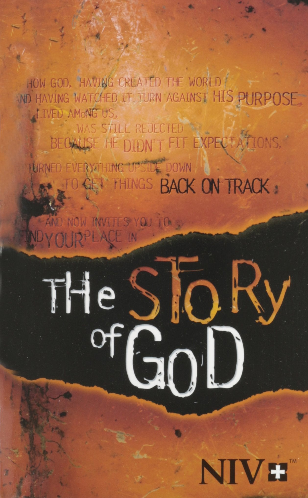 Holy Bible: New International Version, The Story of God 9781563201127