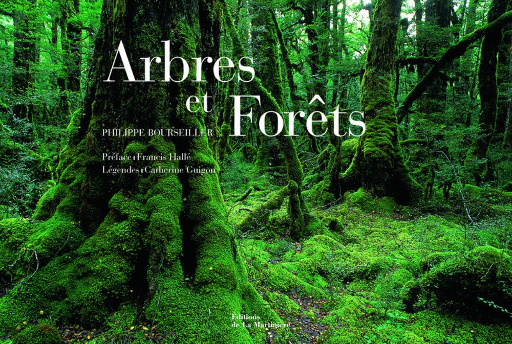 Arbres et Forêts 9782732437484